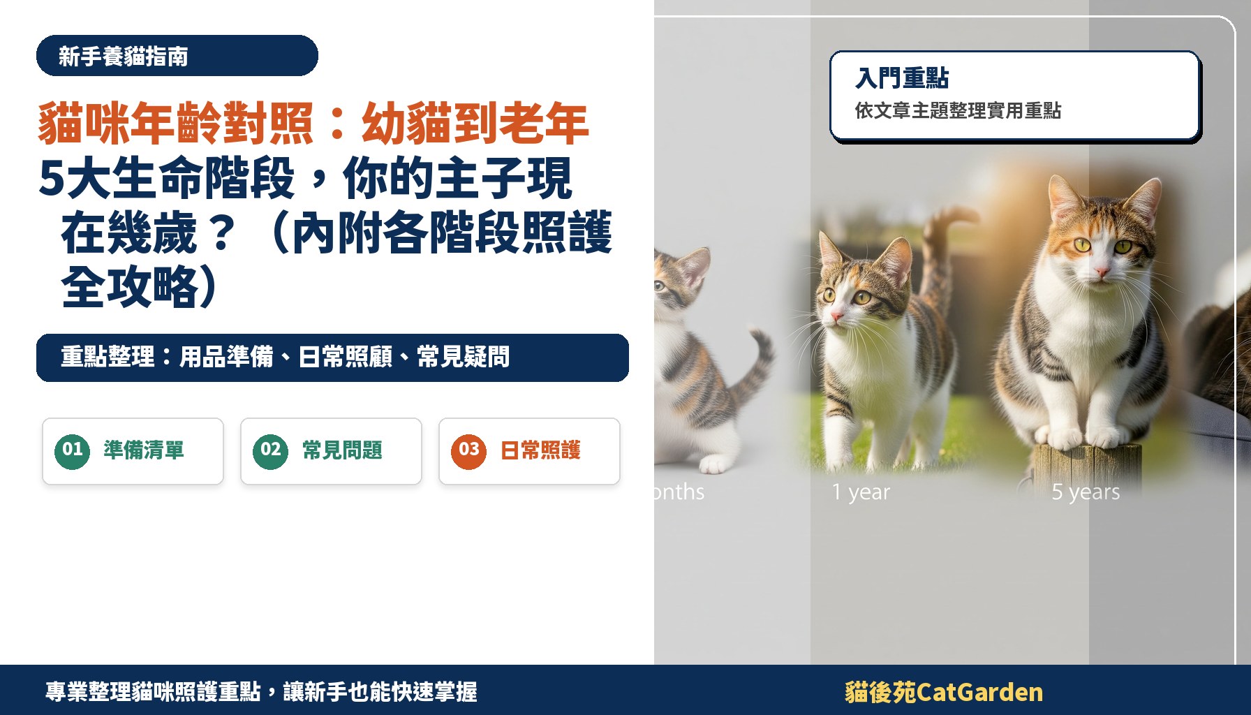 貓咪年齡對照：幼貓到老年5大生命階段，你的主子現在幾歲？（內附各階段照護全攻略）