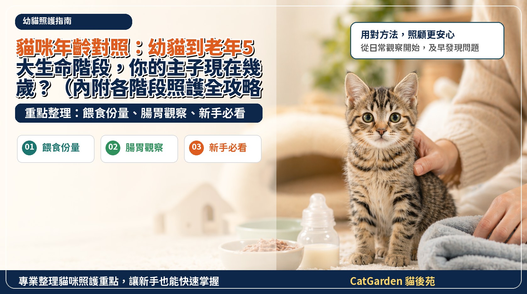 貓咪年齡對照：幼貓到老年5大生命階段，你的主子現在幾歲？（內附各階段照護全攻略） 封面圖