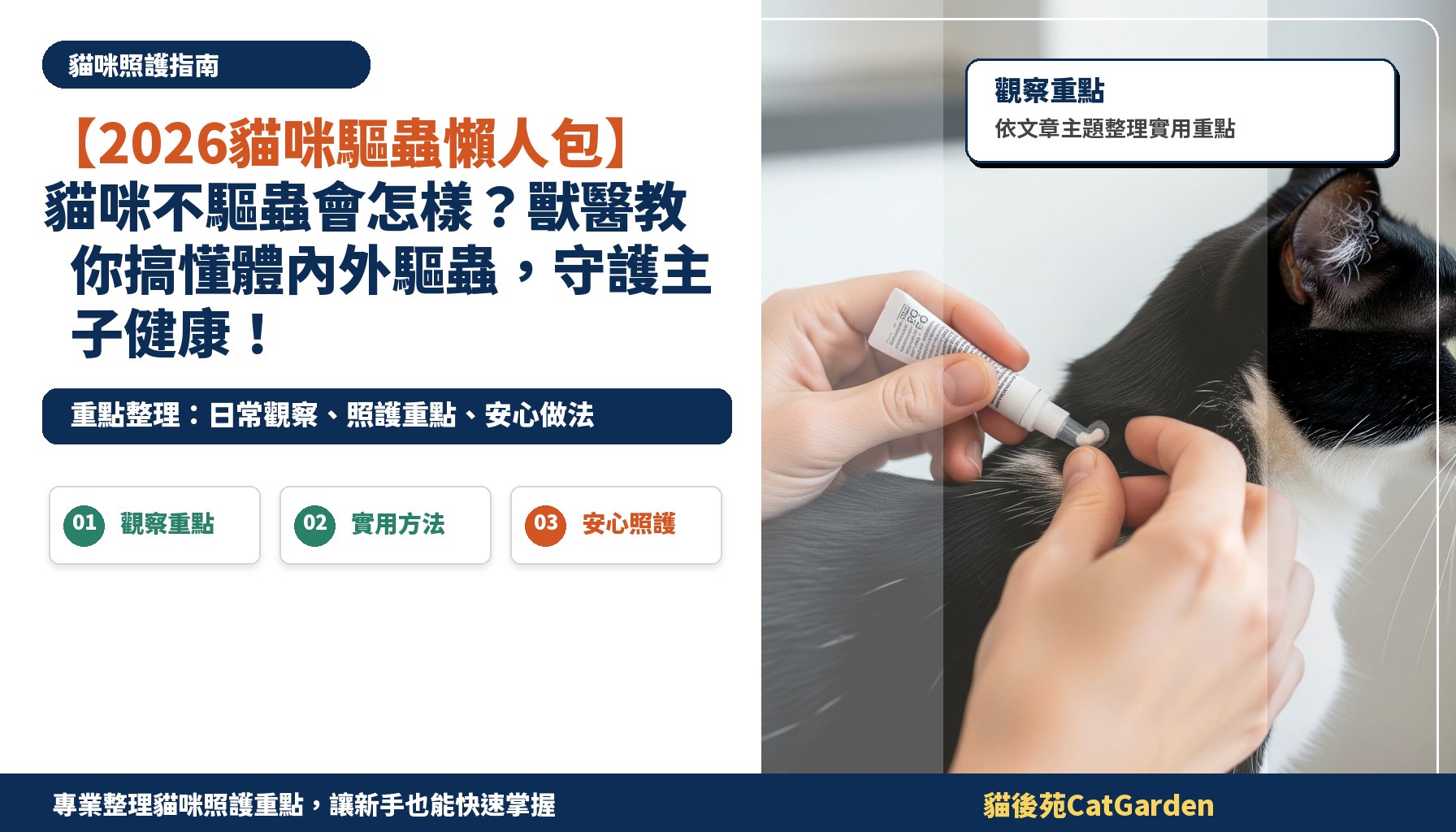 【2026貓咪驅蟲懶人包】貓咪不驅蟲會怎樣？獸醫教你搞懂體內外驅蟲，守護主子健康！