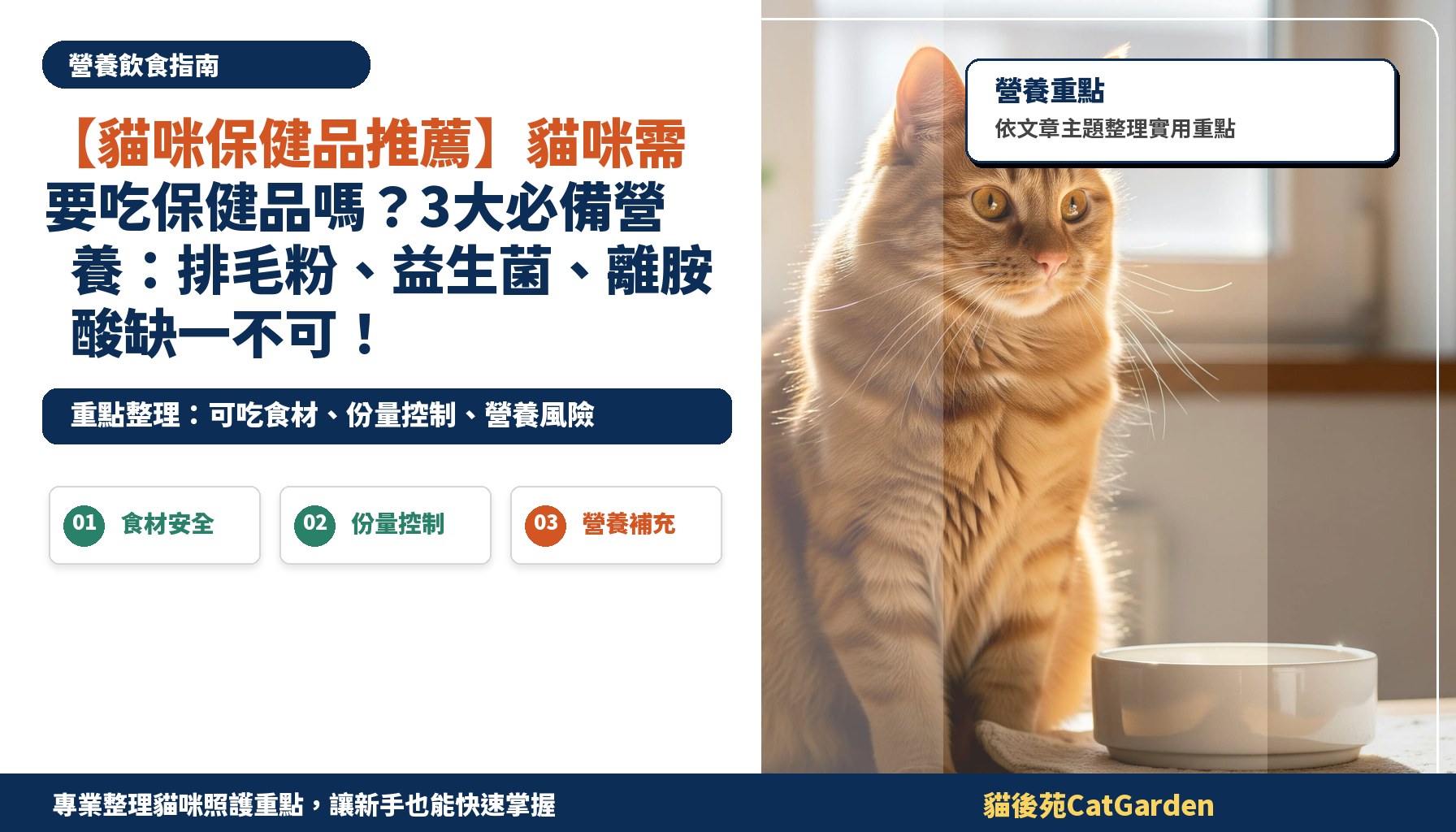 【貓咪保健品推薦】貓咪需要吃保健品嗎？3大必備營養：排毛粉、益生菌、離胺酸缺一不可！