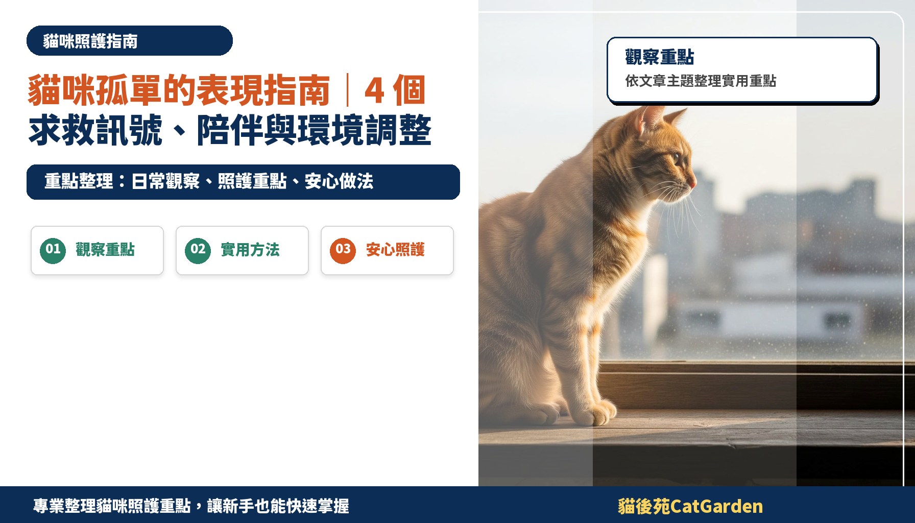 貓咪孤單的表現指南｜4 個求救訊號、陪伴與環境調整