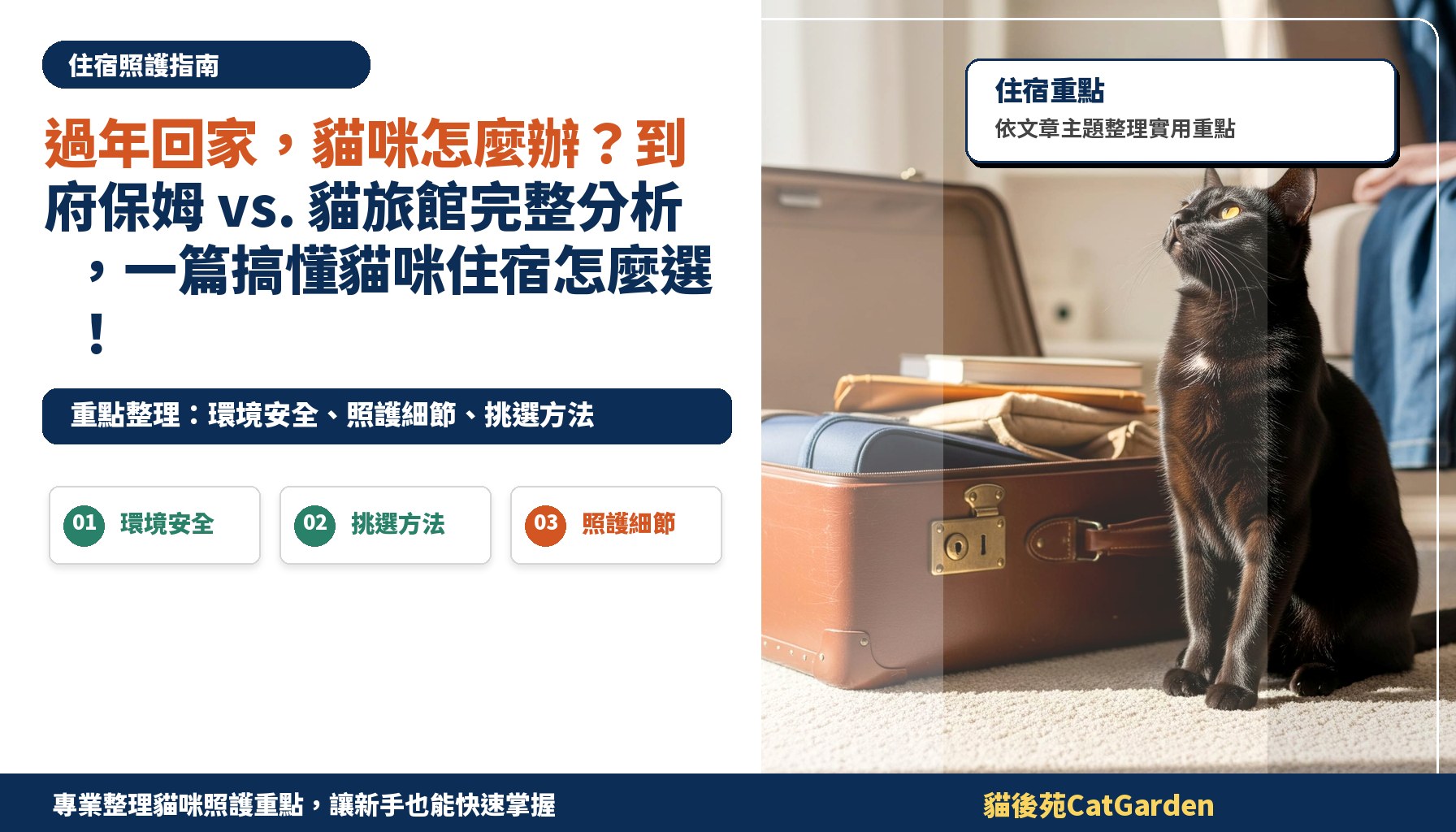 過年回家，貓咪怎麼辦？到府保姆 vs. 貓旅館完整分析，一篇搞懂貓咪住宿怎麼選！