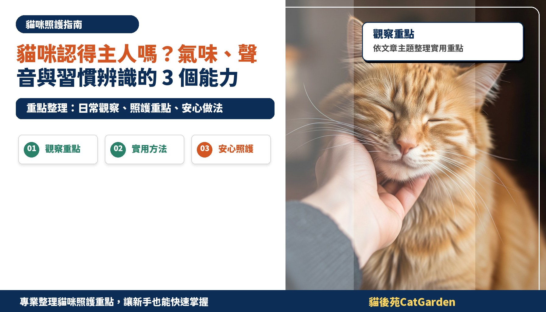 貓咪認得主人嗎？氣味、聲音與習慣辨識的 3 個能力