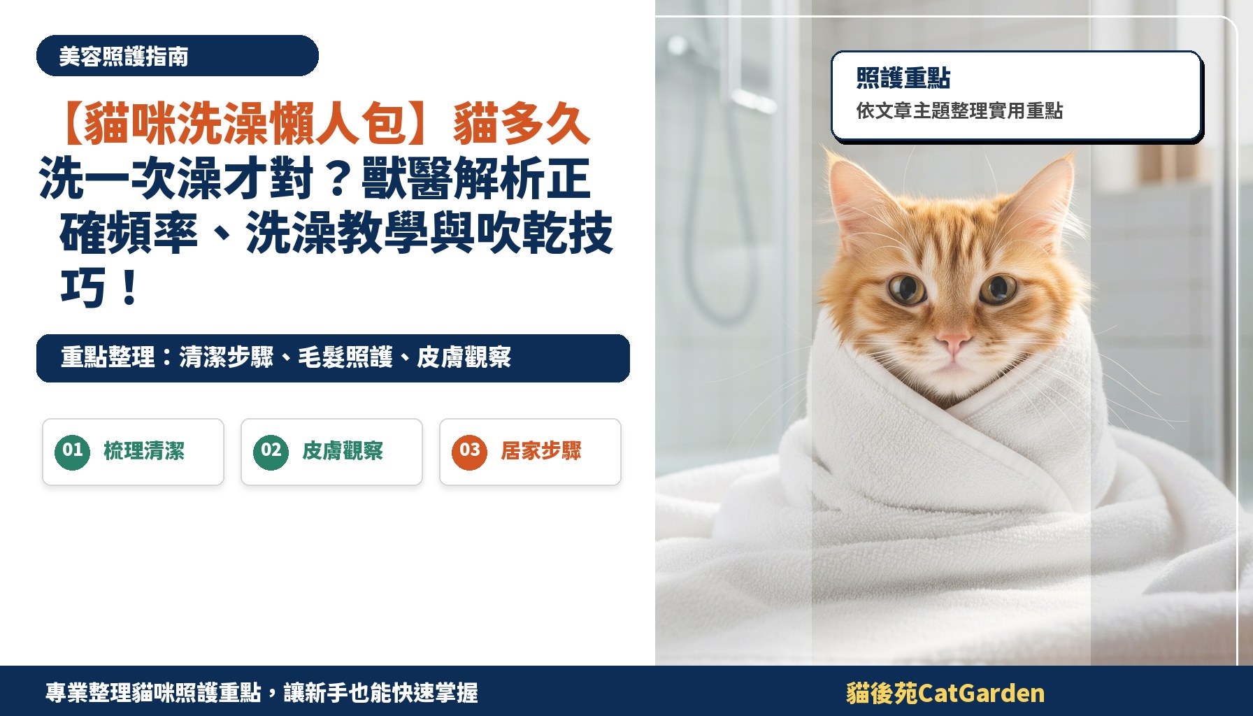 【貓咪洗澡懶人包】貓多久洗一次澡才對？獸醫解析正確頻率、洗澡教學與吹乾技巧！
