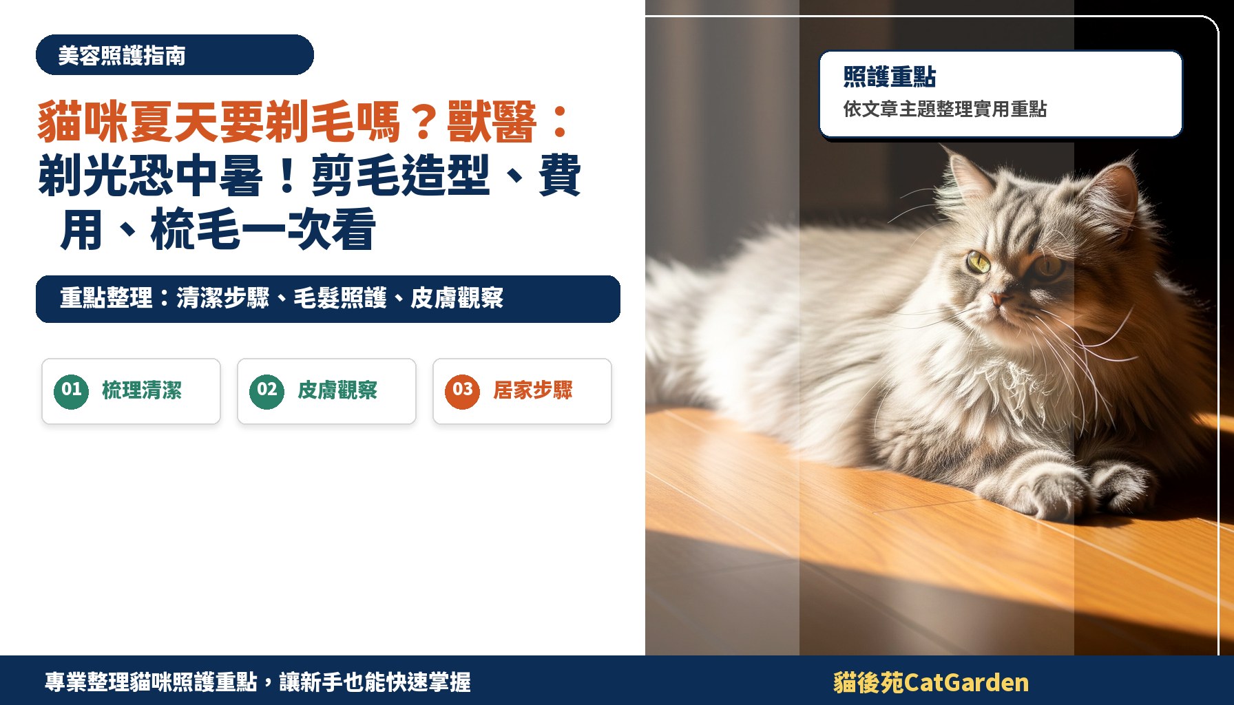 貓咪夏天要剃毛嗎？獸醫：剃光恐中暑！剪毛造型、費用、梳毛一次看