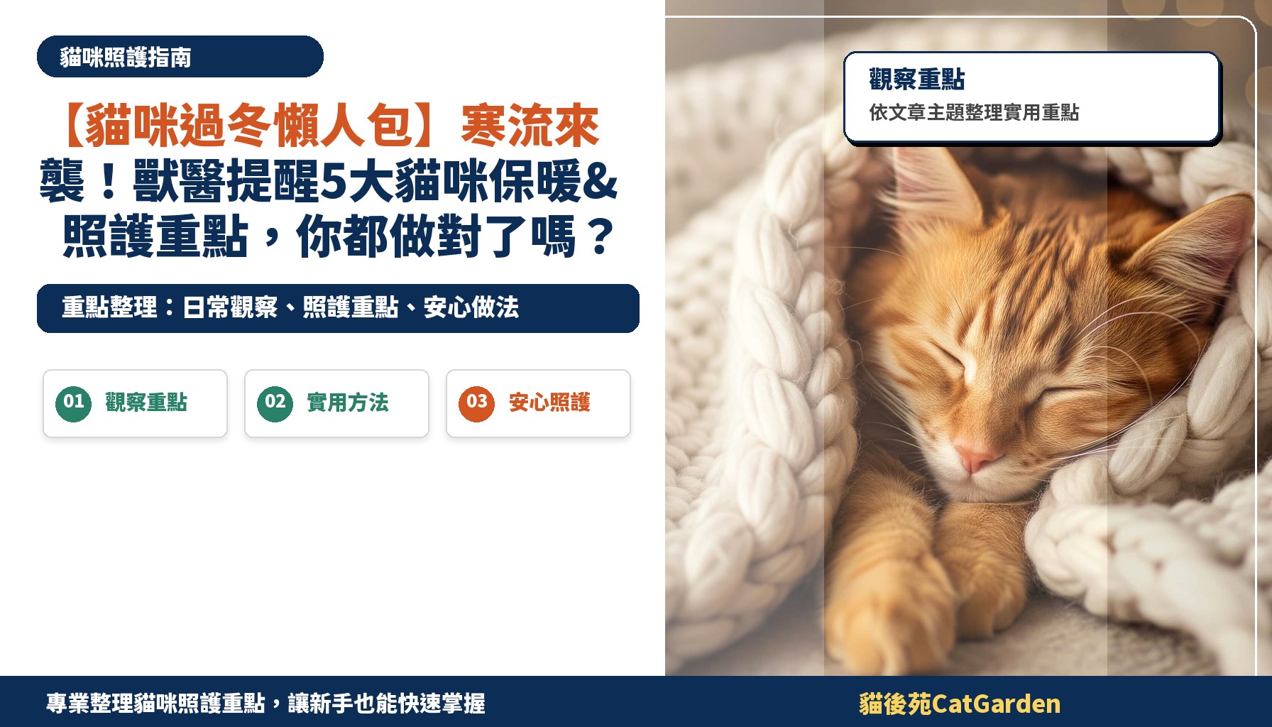 【貓咪過冬懶人包】寒流來襲！獸醫提醒5大貓咪保暖&照護重點，你都做對了嗎？