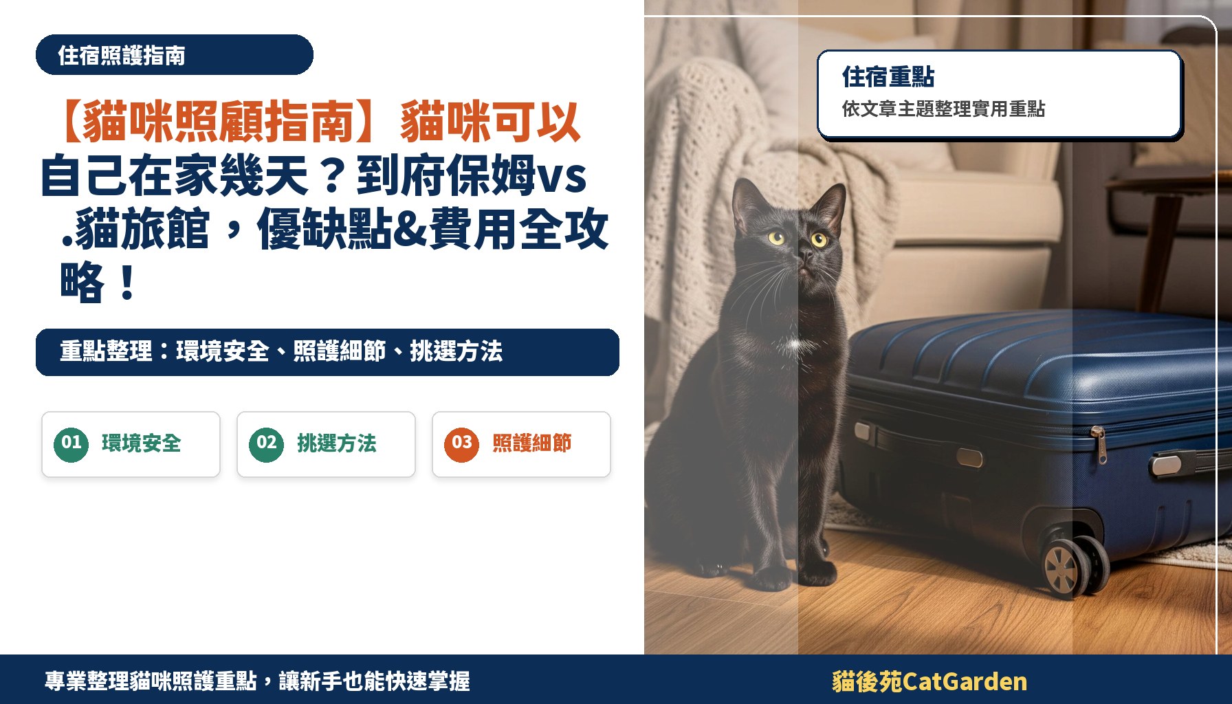 【貓咪照顧指南】貓咪可以自己在家幾天？到府保姆vs.貓旅館，優缺點&費用全攻略！