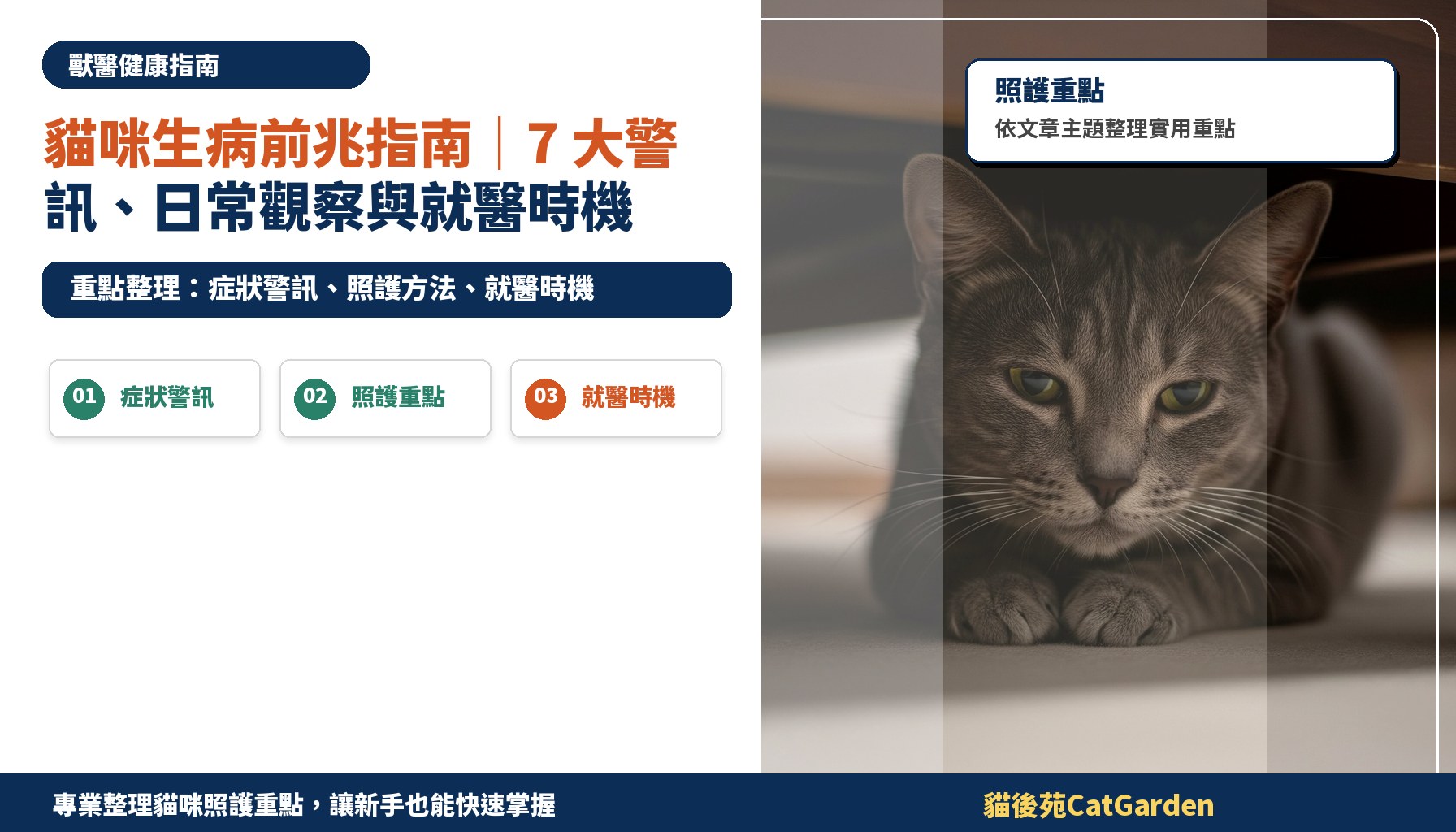 貓咪生病前兆指南｜7 大警訊、日常觀察與就醫時機