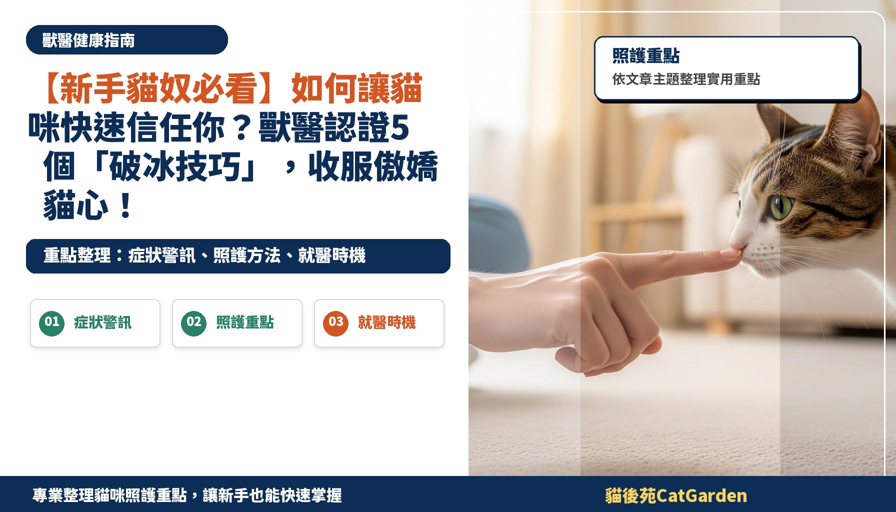 【新手貓奴必看】如何讓貓咪快速信任你？獸醫認證5個「破冰技巧」，收服傲嬌貓心！