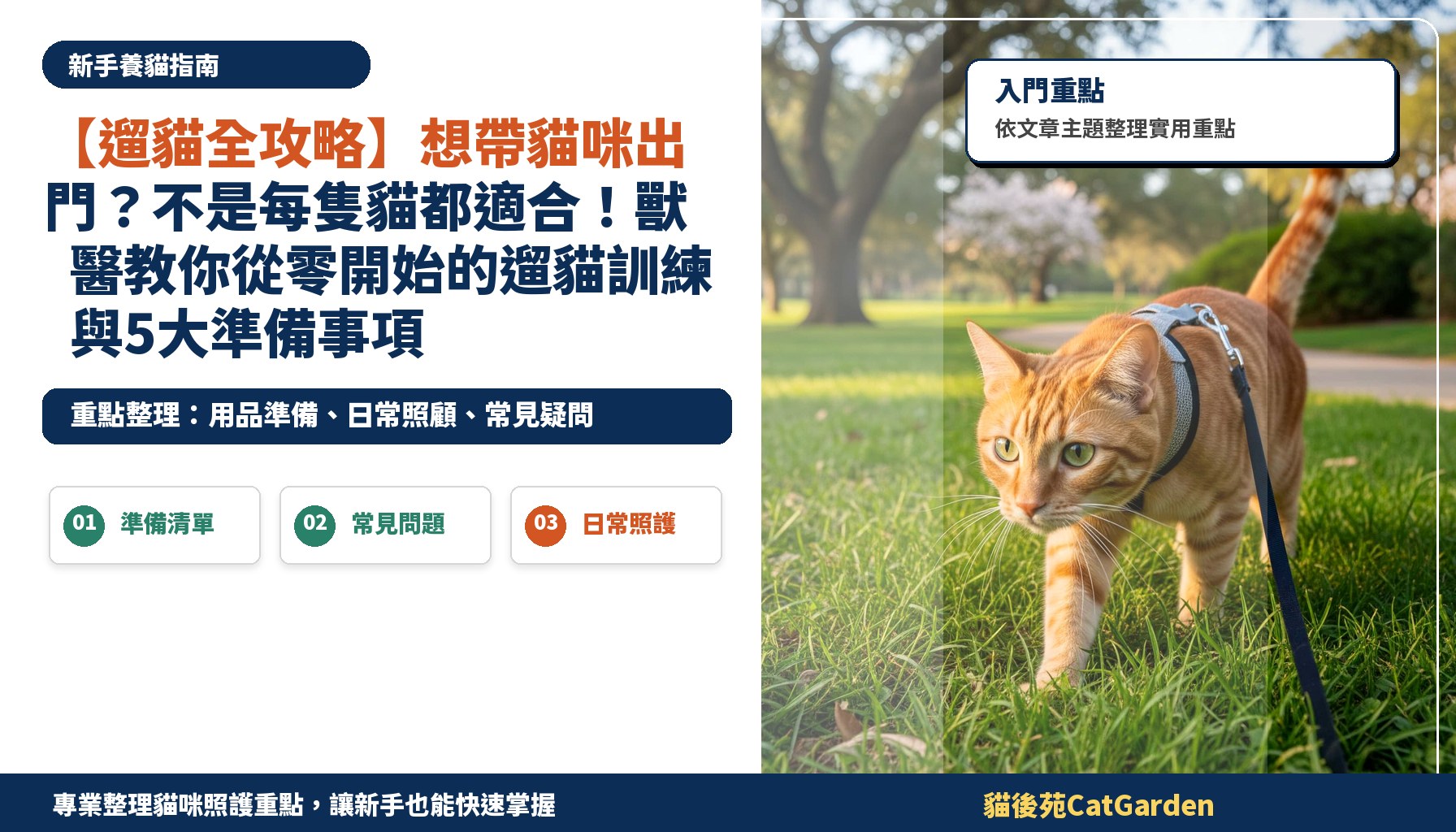 【遛貓全攻略】想帶貓咪出門？不是每隻貓都適合！獸醫教你從零開始的遛貓訓練與5大準備事項