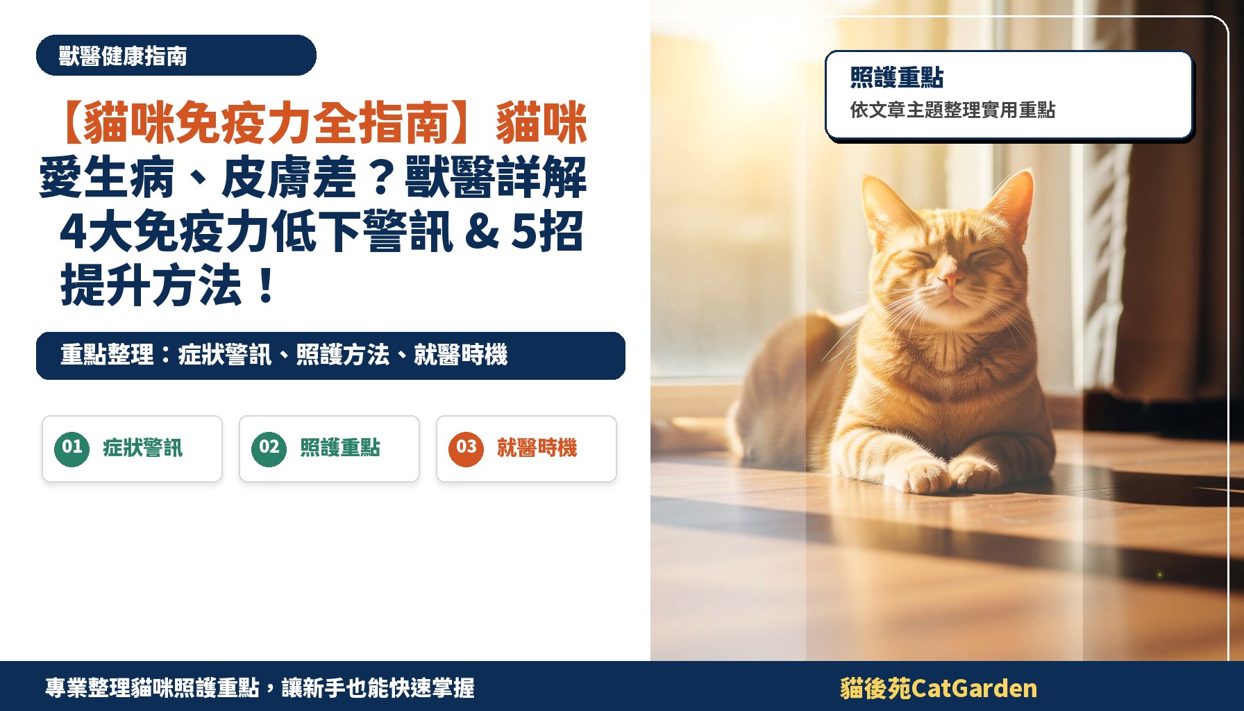 【貓咪免疫力全指南】貓咪愛生病、皮膚差？獸醫詳解4大免疫力低下警訊 & 5招提升方法！