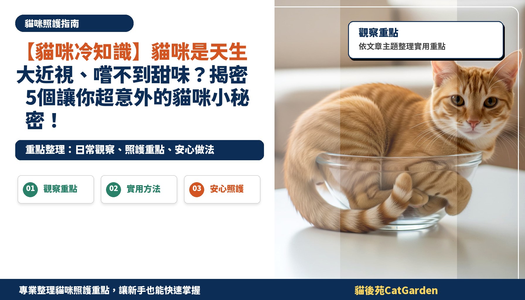 【貓咪冷知識】貓咪是天生大近視、嚐不到甜味？揭密5個讓你超意外的貓咪小秘密！