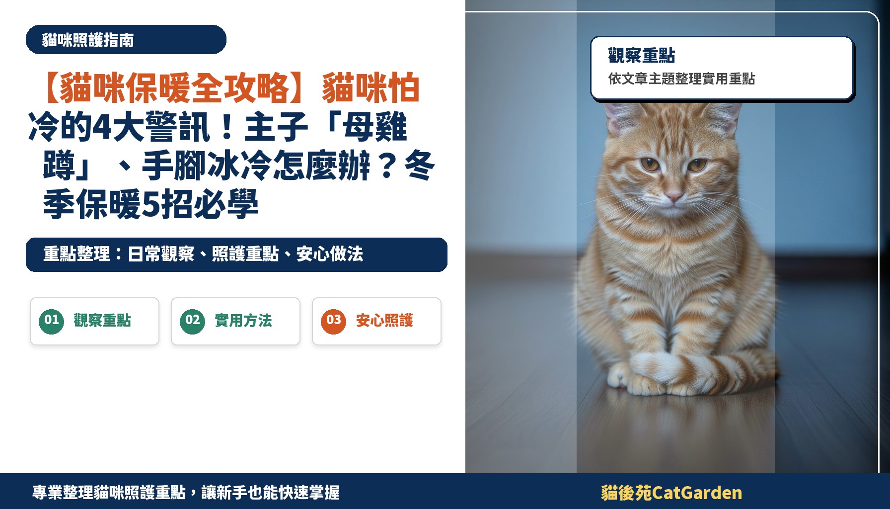 【貓咪保暖全攻略】貓咪怕冷的4大警訊！主子「母雞蹲」、手腳冰冷怎麼辦？冬季保暖5招必學