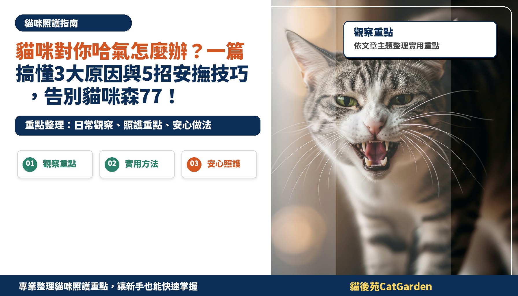 貓咪對你哈氣怎麼辦？一篇搞懂3大原因與5招安撫技巧，告別貓咪森77！