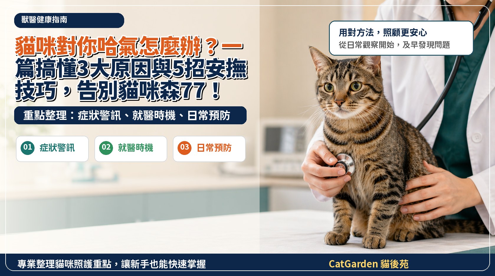 貓咪對你哈氣怎麼辦？一篇搞懂3大原因與5招安撫技巧，告別貓咪森77！ 封面圖