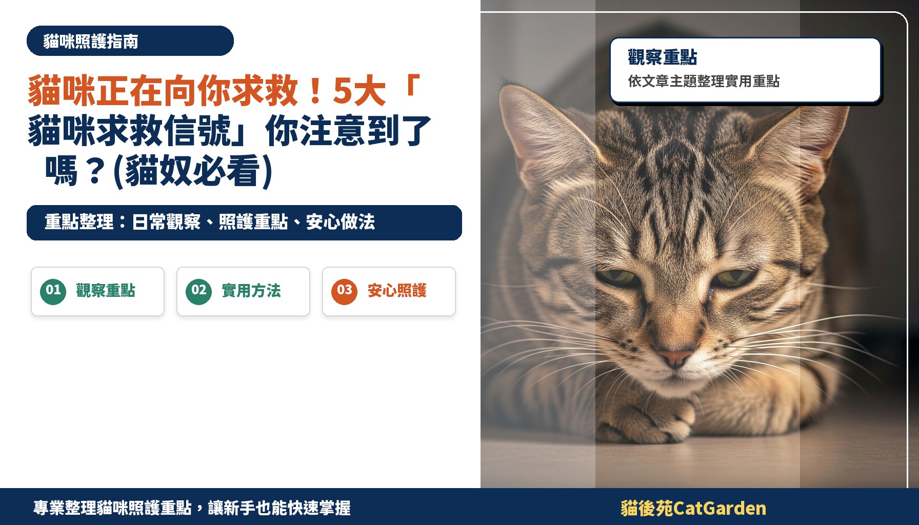 貓咪正在向你求救！5大「貓咪求救信號」你注意到了嗎？(貓奴必看)