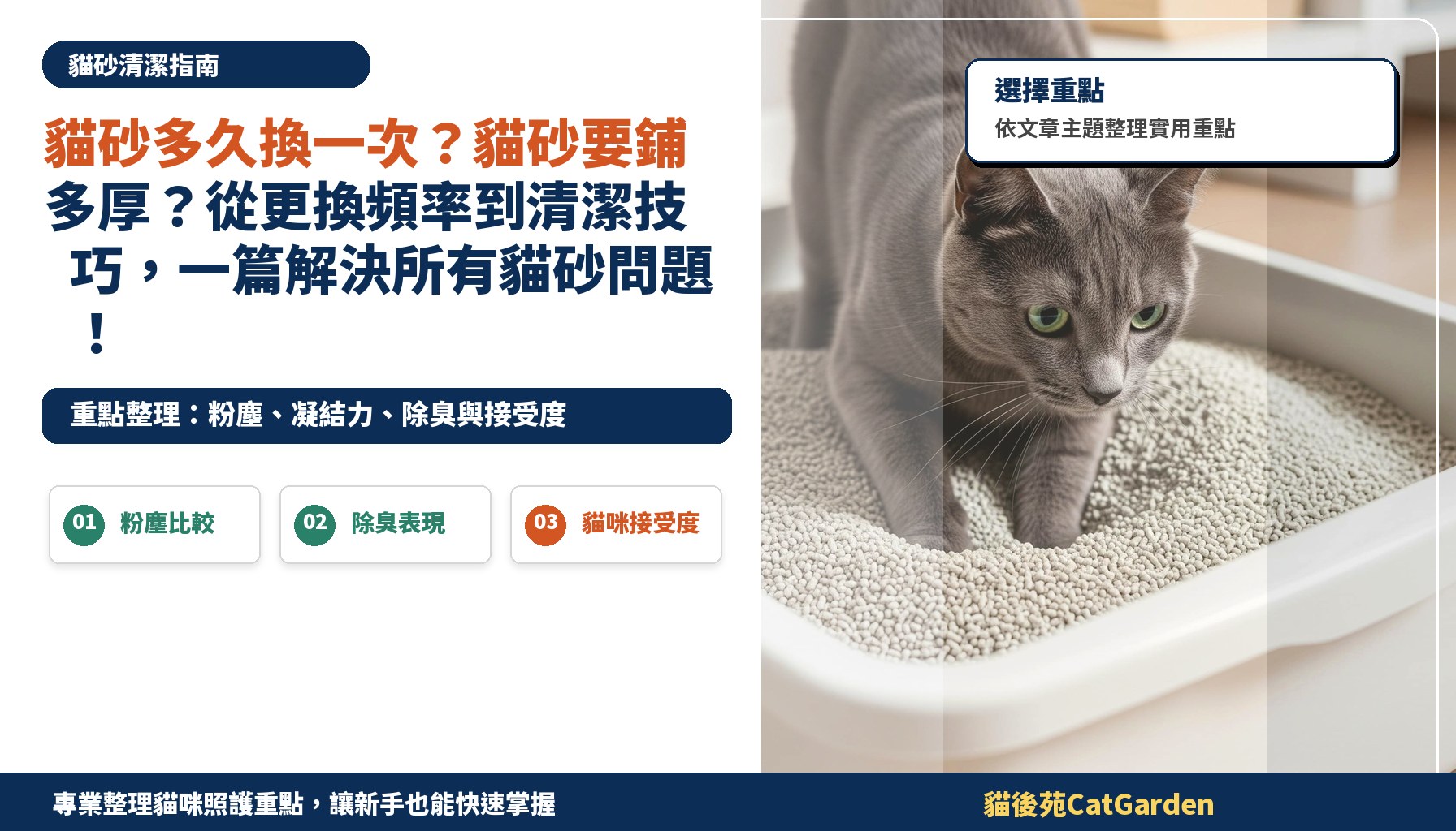 貓砂多久換一次？貓砂要鋪多厚？從更換頻率到清潔技巧，一篇解決所有貓砂問題！