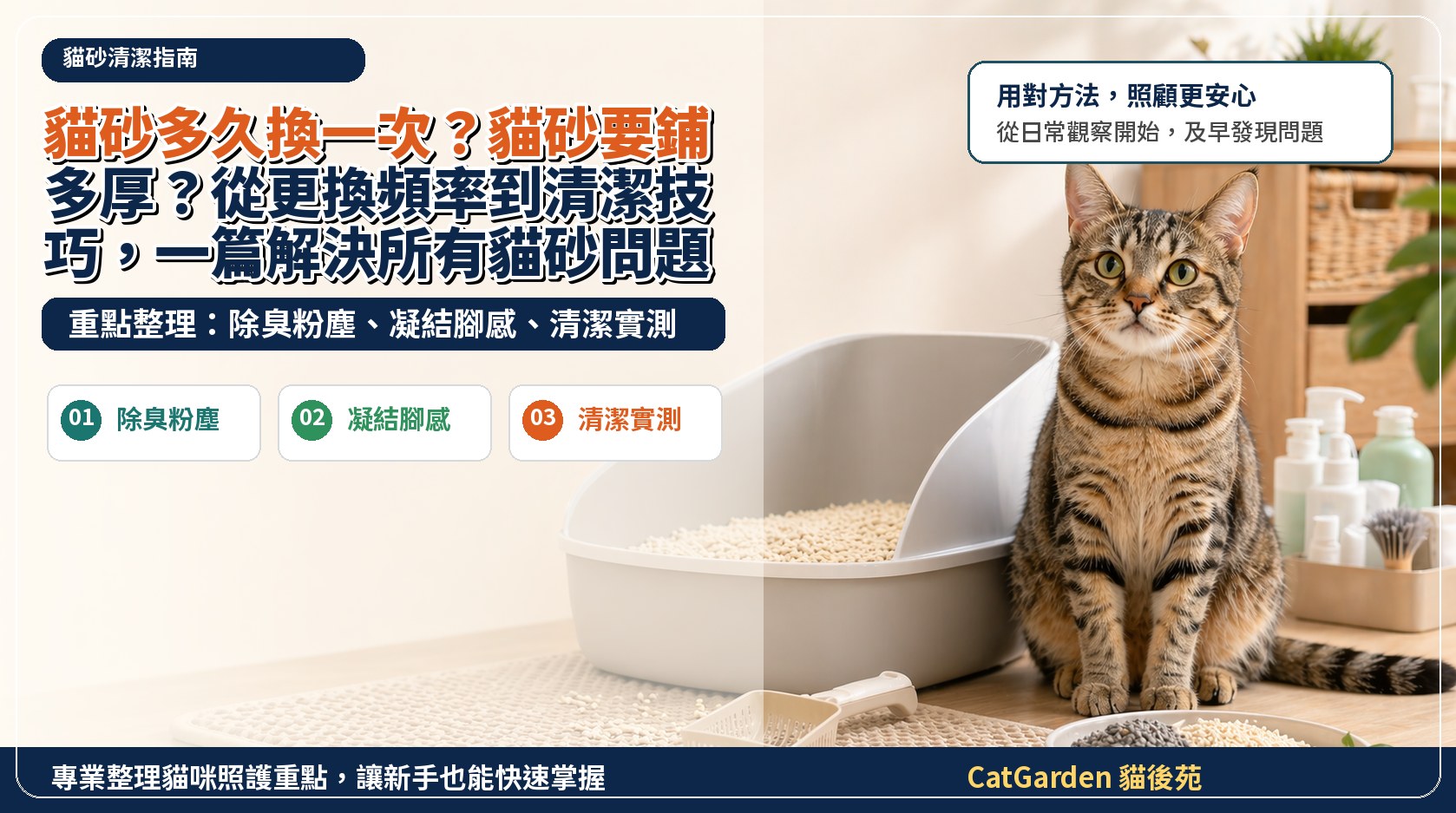 貓砂多久換一次？貓砂要鋪多厚？從更換頻率到清潔技巧，一篇解決所有貓砂問題！ 封面圖