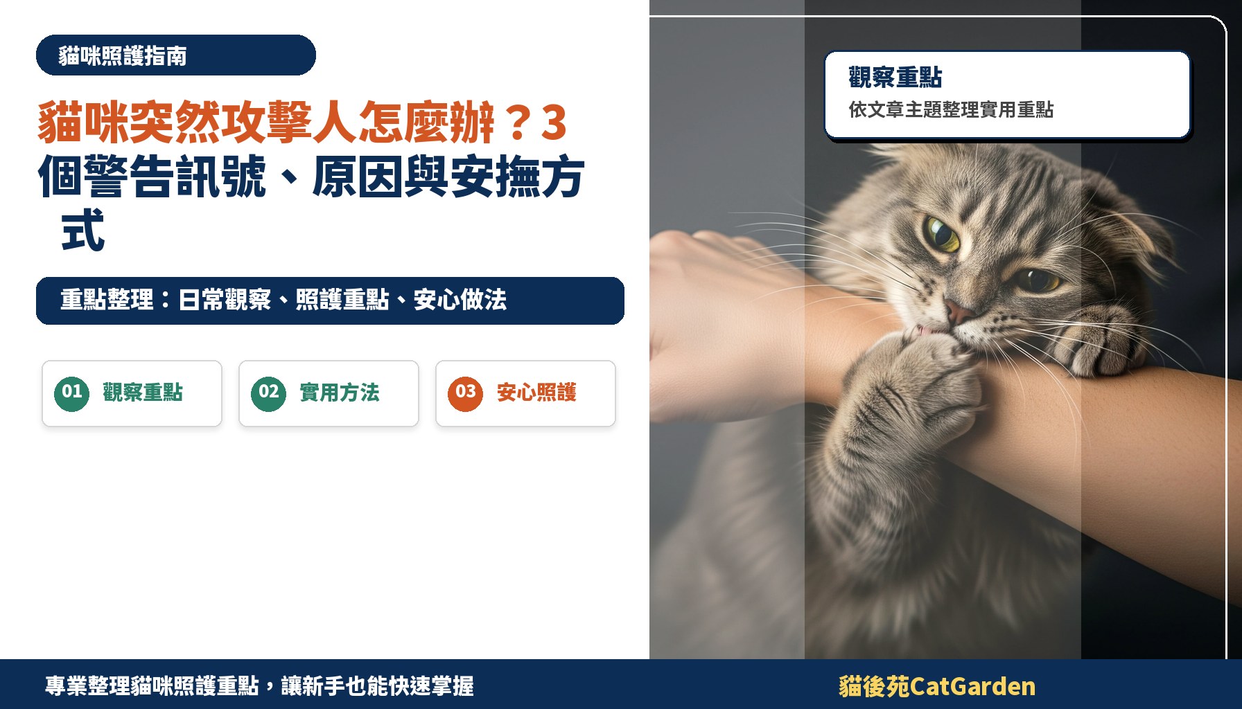 貓咪突然攻擊人怎麼辦？3 個警告訊號、原因與安撫方式