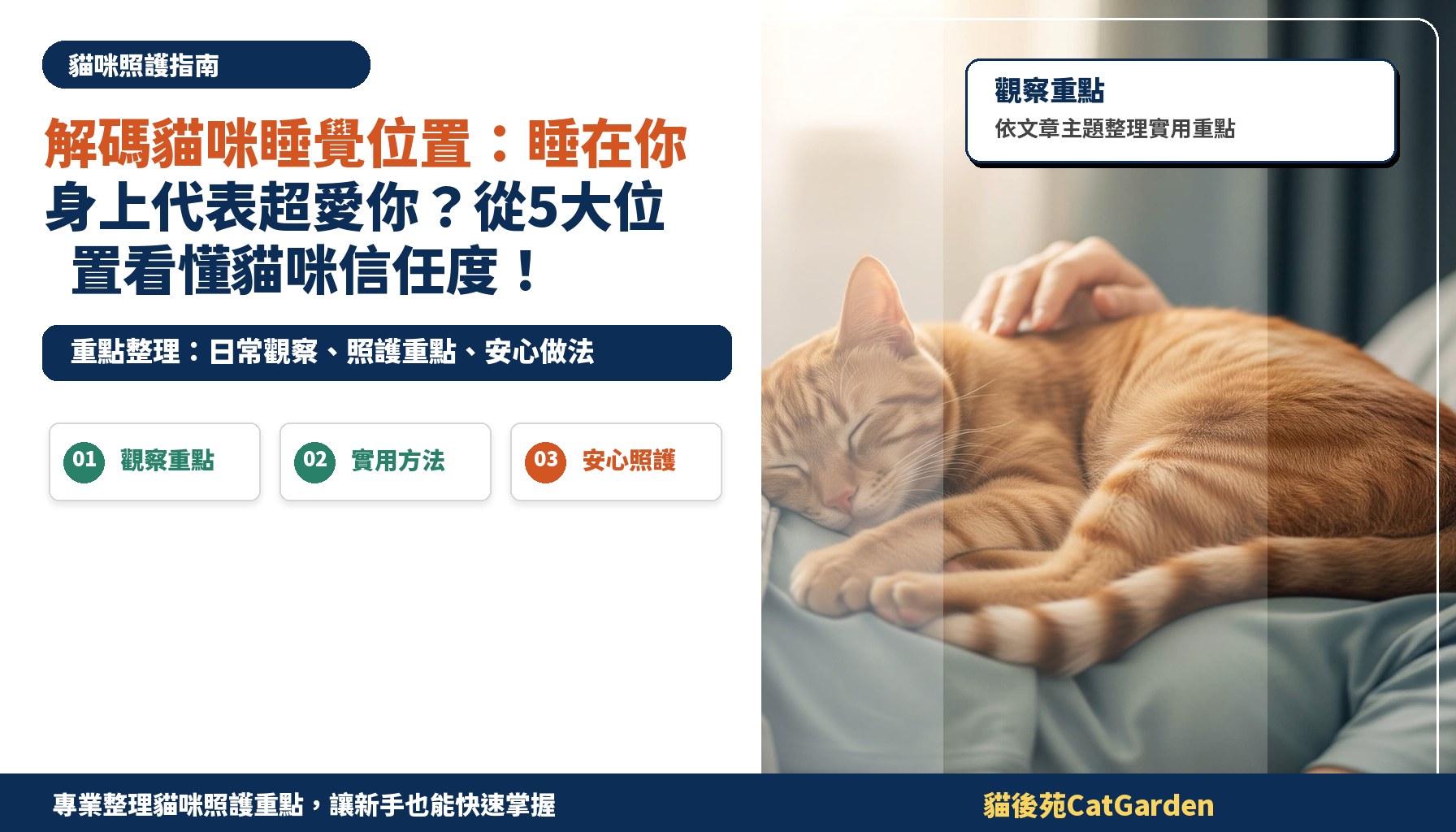 解碼貓咪睡覺位置：睡在你身上代表超愛你？從5大位置看懂貓咪信任度！