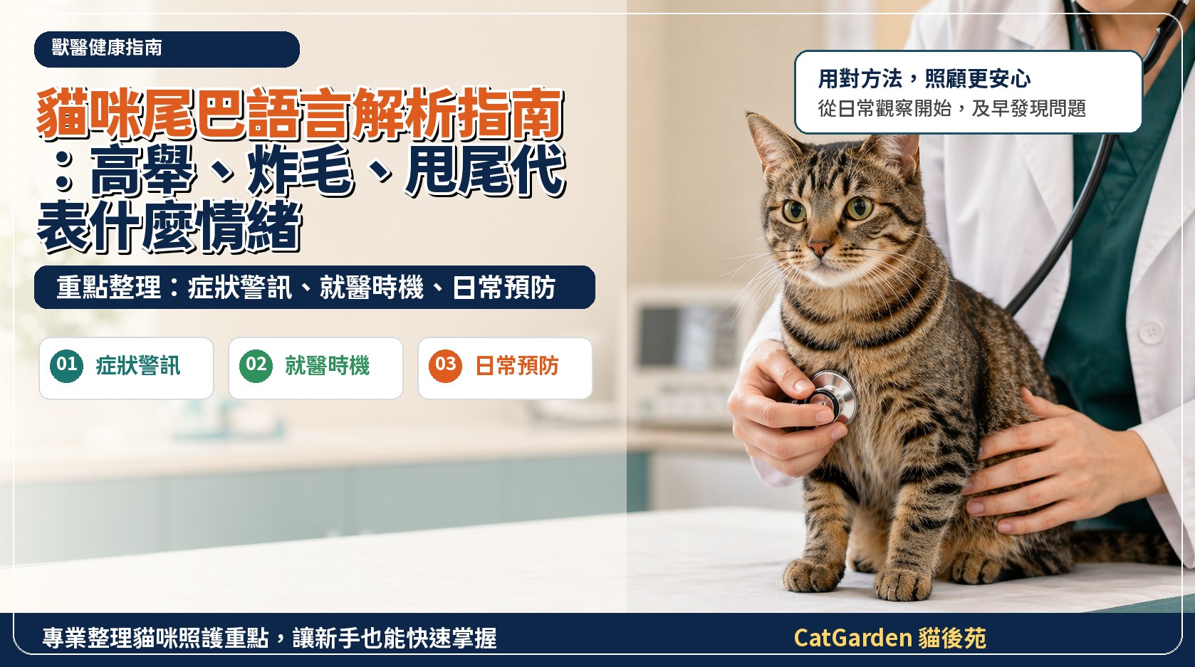 貓咪尾巴語言解析指南：高舉、炸毛、甩尾代表什麼情緒 封面圖