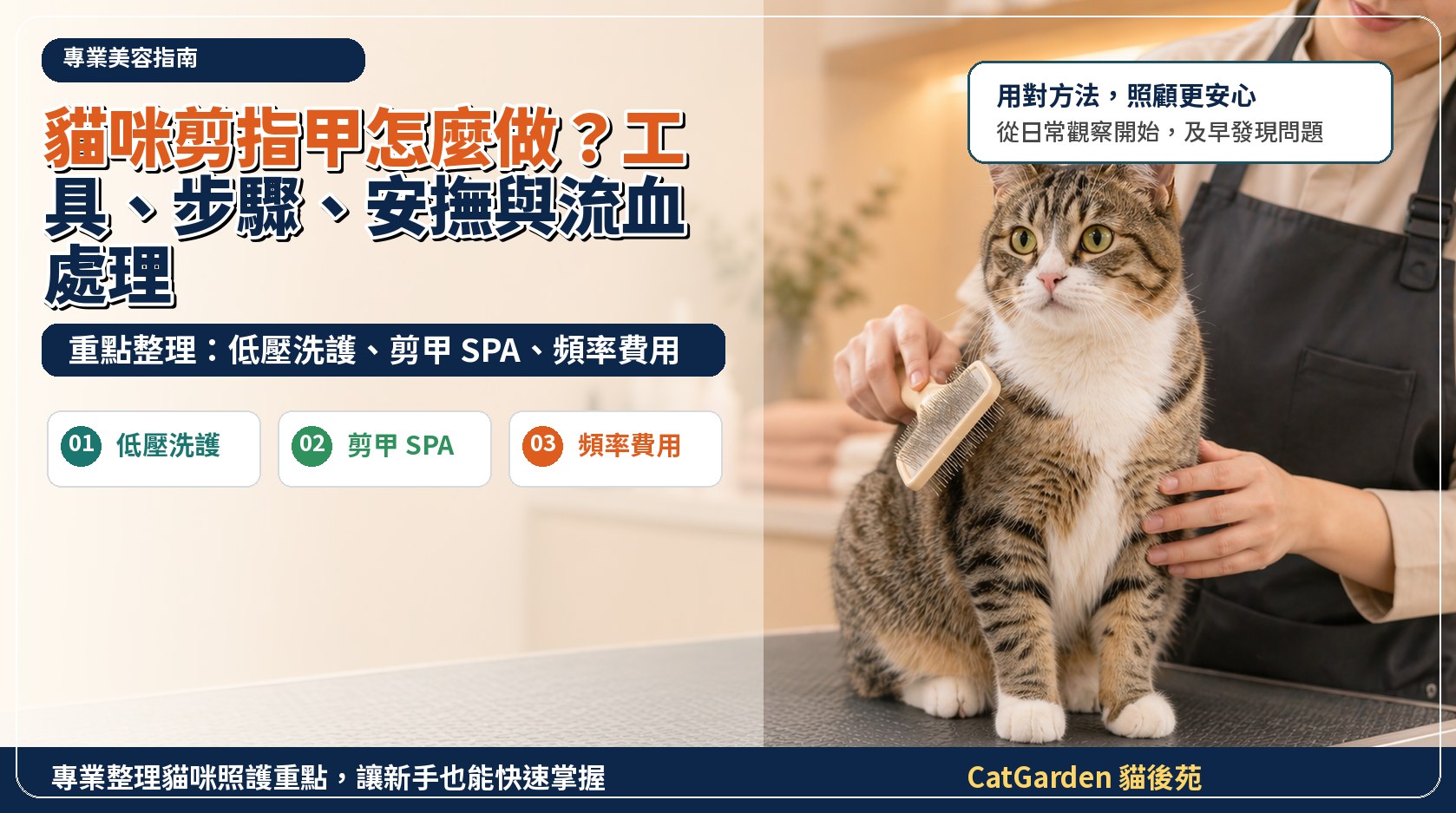 貓咪剪指甲怎麼做？工具、步驟、安撫與流血處理 封面圖