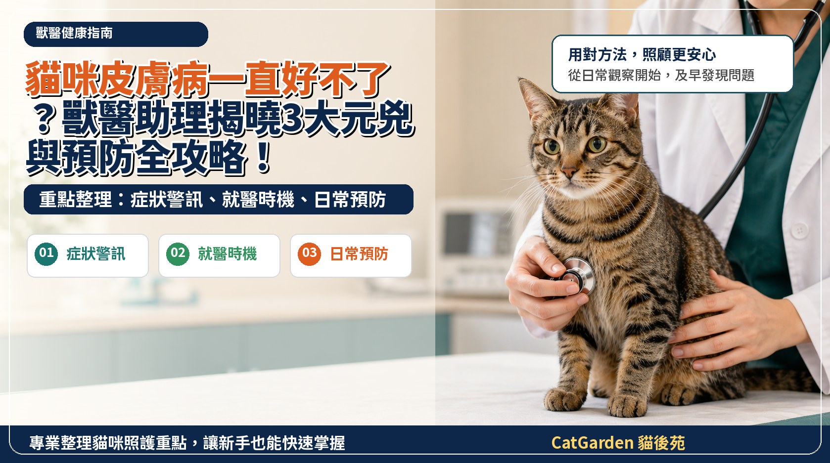 貓咪皮膚病一直好不了？獸醫助理揭曉3大元兇與預防全攻略！ 封面圖