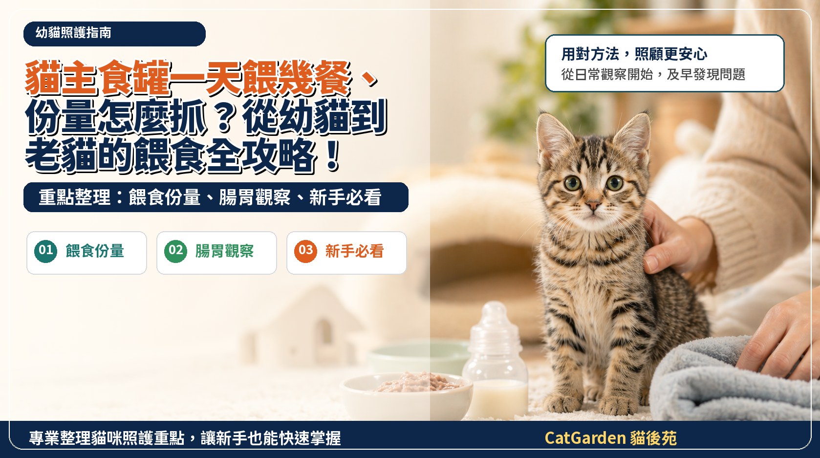貓主食罐一天餵幾餐、份量怎麼抓？從幼貓到老貓的餵食全攻略！ 封面圖