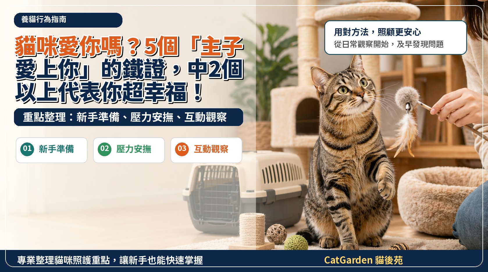 貓咪愛你嗎？5個「主子愛上你」的鐵證，中2個以上代表你超幸福！ 封面圖