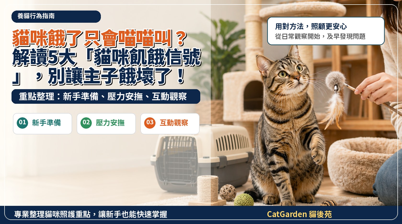 貓咪餓了只會喵喵叫？解讀5大「貓咪飢餓信號」，別讓主子餓壞了！ 封面圖