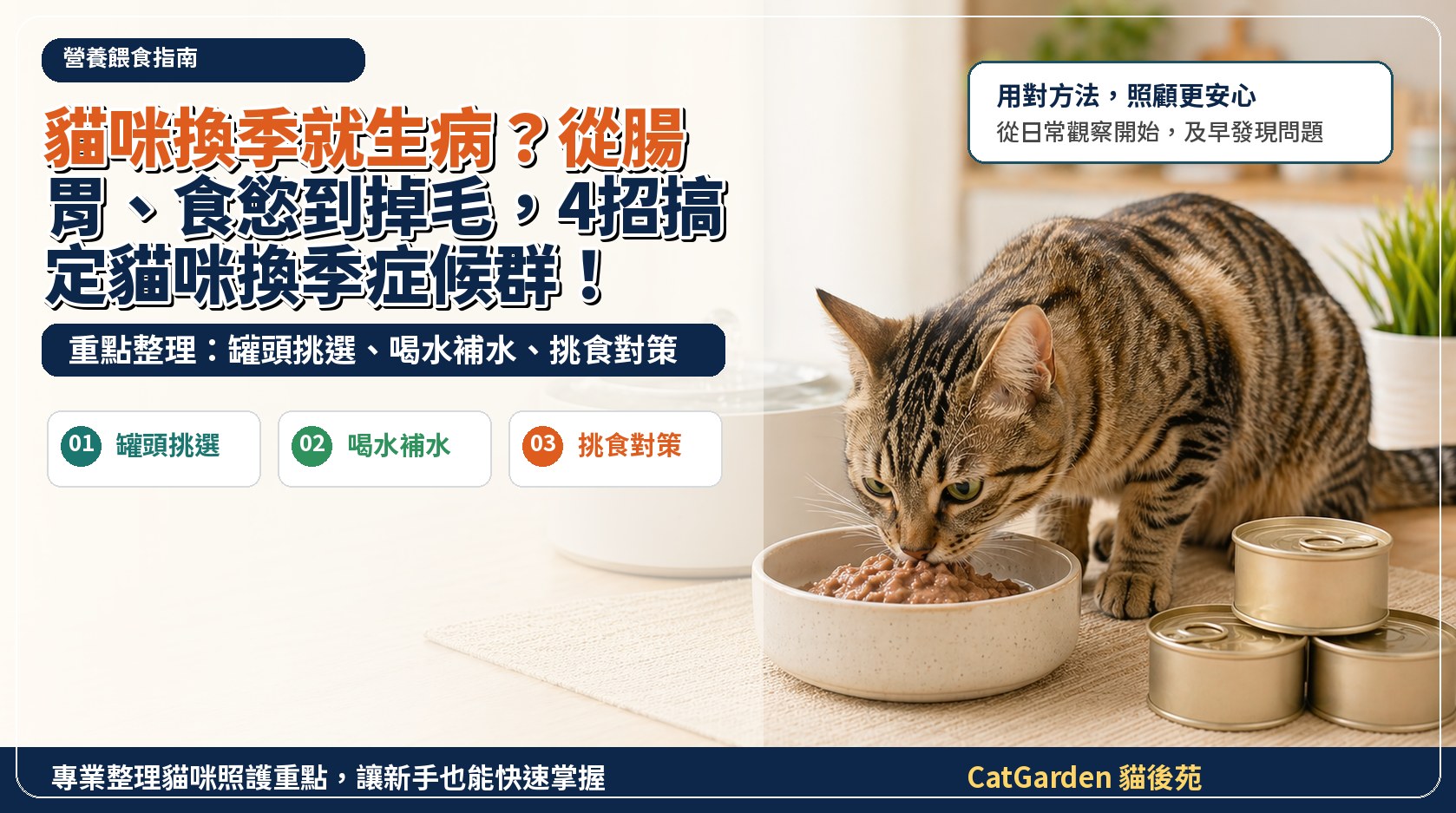 貓咪換季就生病？從腸胃、食慾到掉毛，4招搞定貓咪換季症候群！ 封面圖