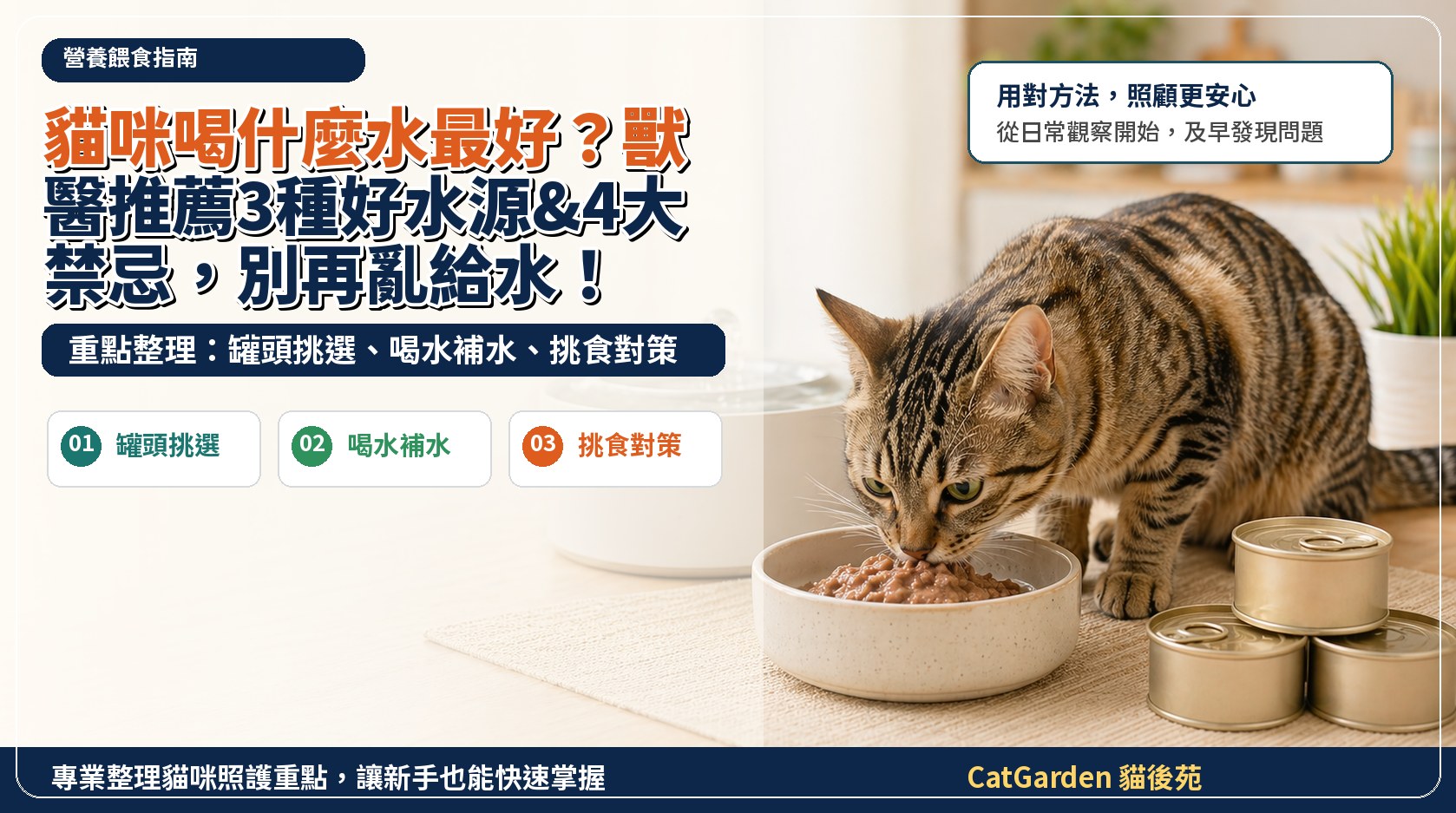 貓咪喝什麼水最好？獸醫推薦3種好水源 & 4大禁忌，別再亂給水！ 封面圖