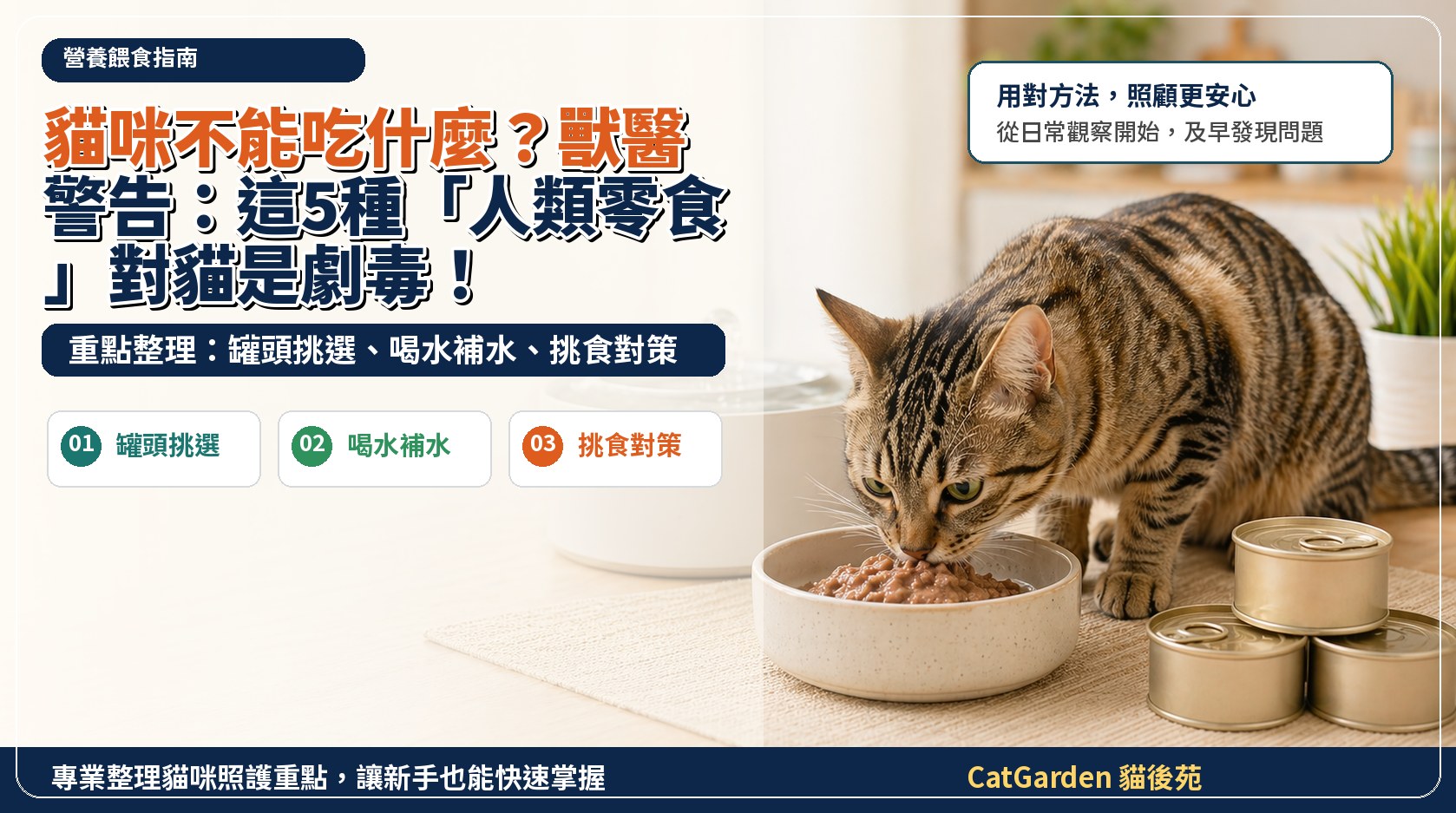 貓咪不能吃什麼？獸醫警告：這5種「人類零食」對貓是劇毒！ 封面圖