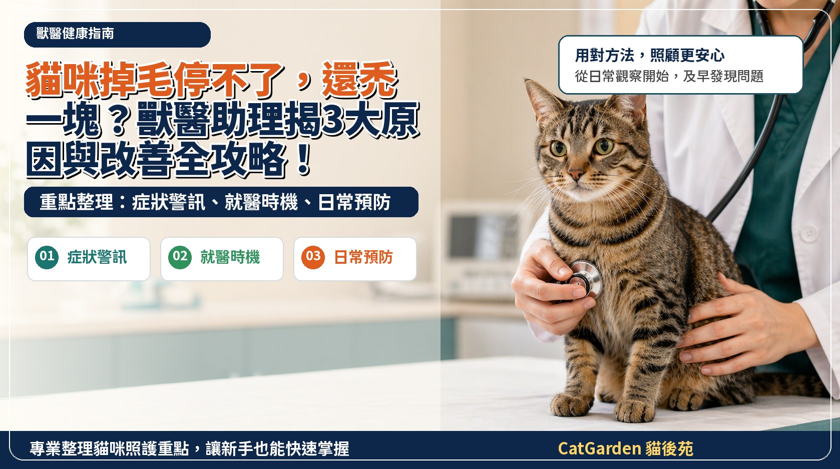 貓咪掉毛停不了，還禿一塊？獸醫助理揭3大原因與改善全攻略！ 封面圖