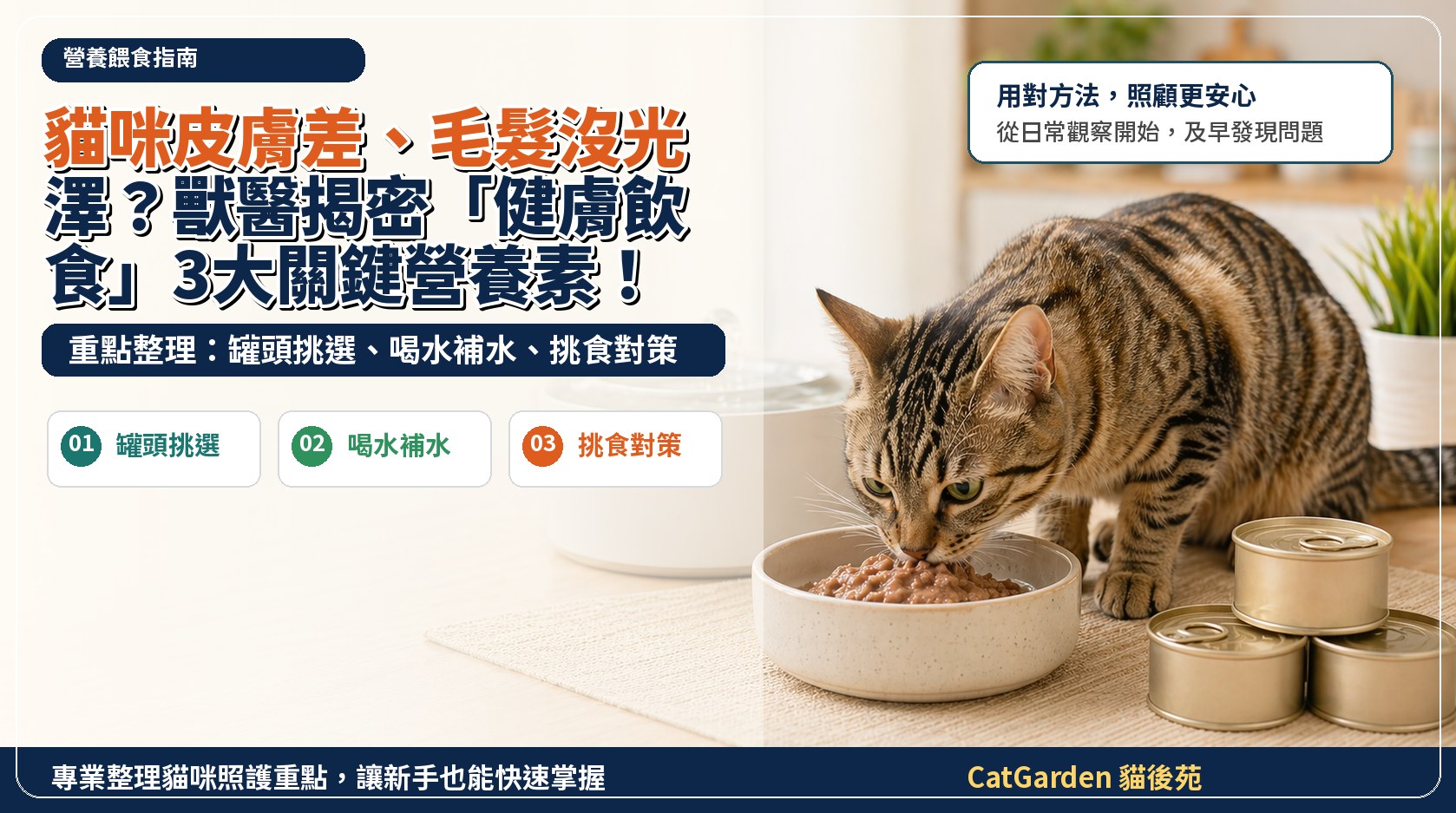 貓咪皮膚差、毛髮沒光澤？獸醫揭密「健膚飲食」3大關鍵營養素！ 封面圖