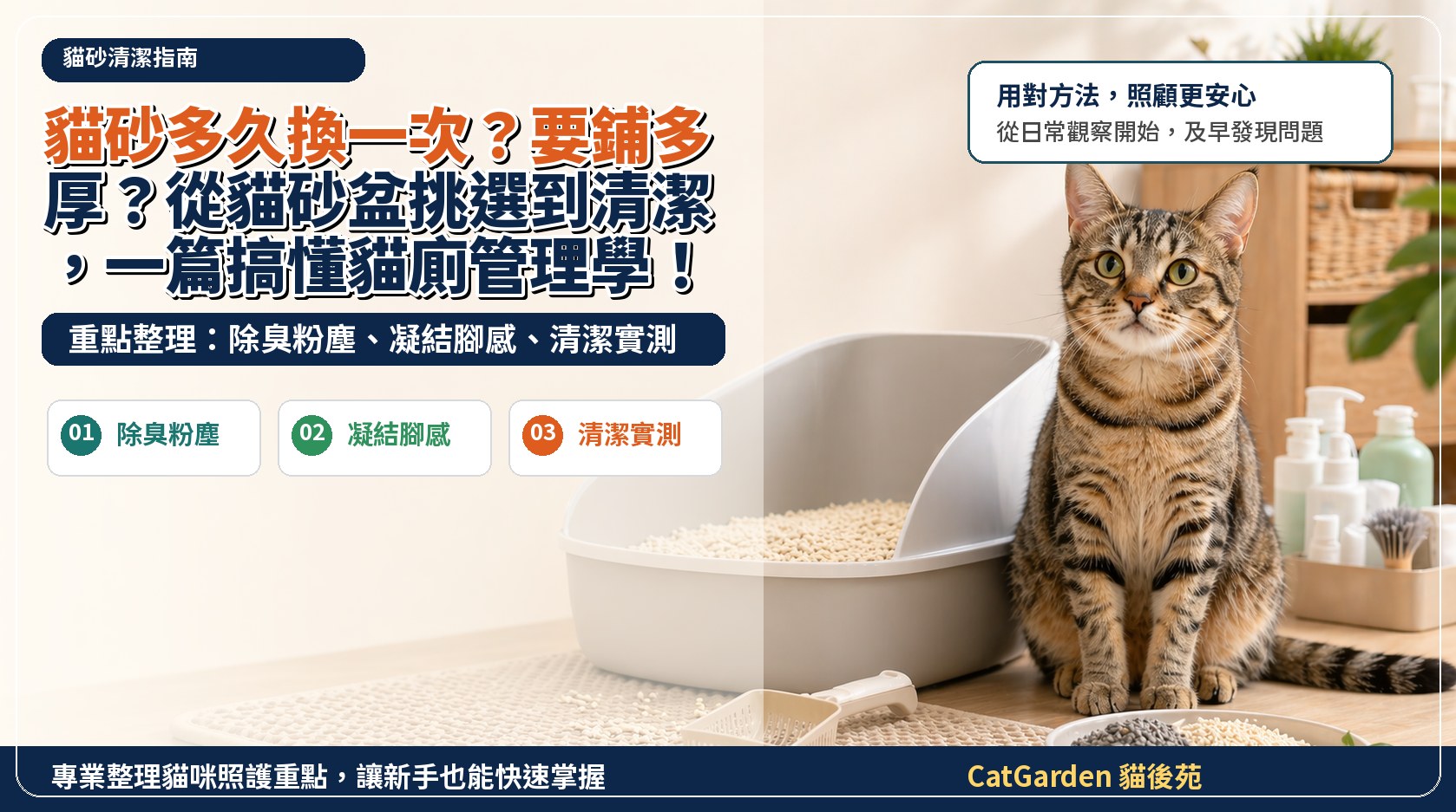 貓砂多久換一次？要鋪多厚？從貓砂盆挑選到清潔，一篇搞懂貓廁管理學！ 封面圖