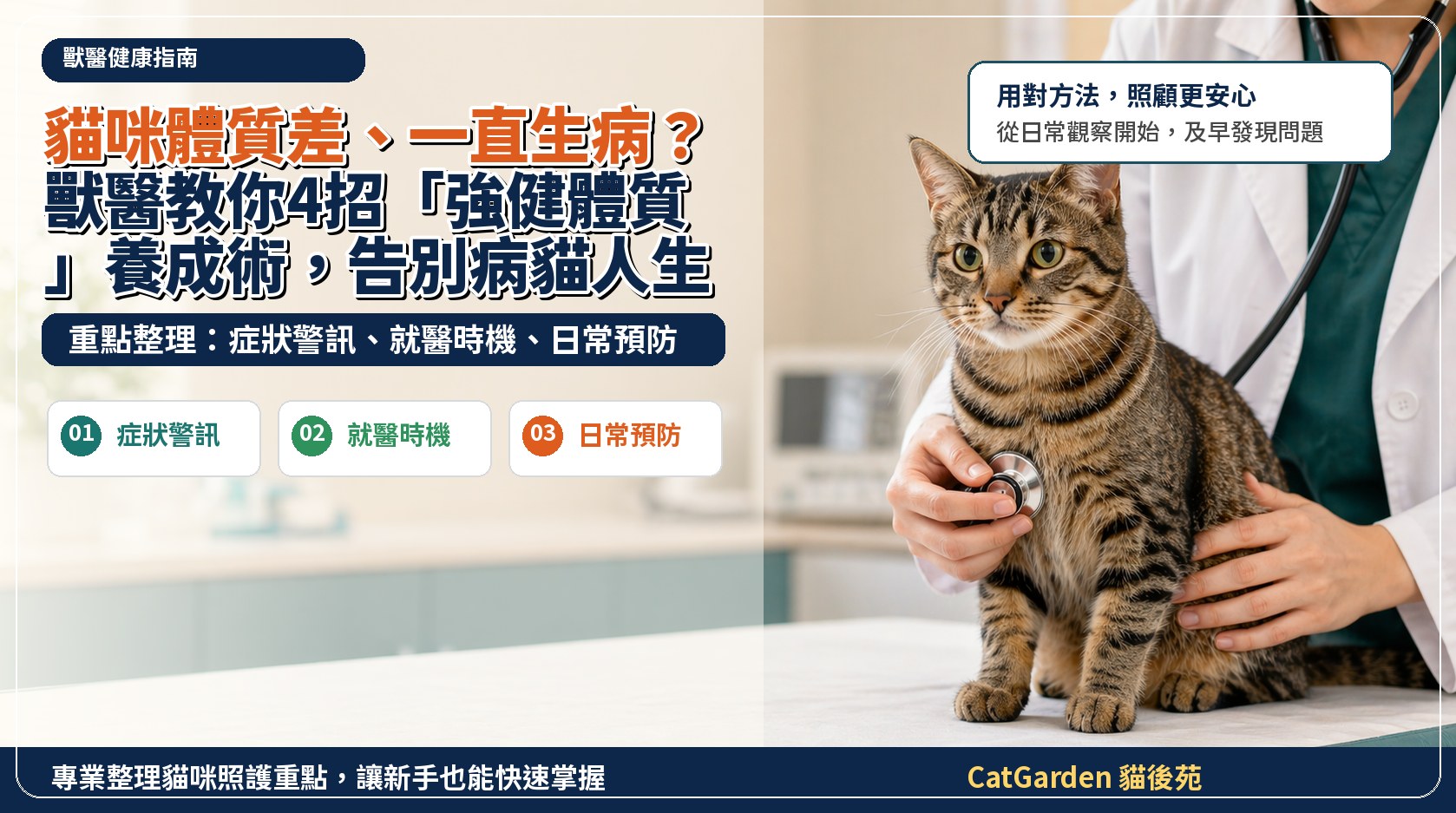貓咪體質差、一直生病？獸醫教你4招「強健體質」養成術，告別病貓人生！ 封面圖