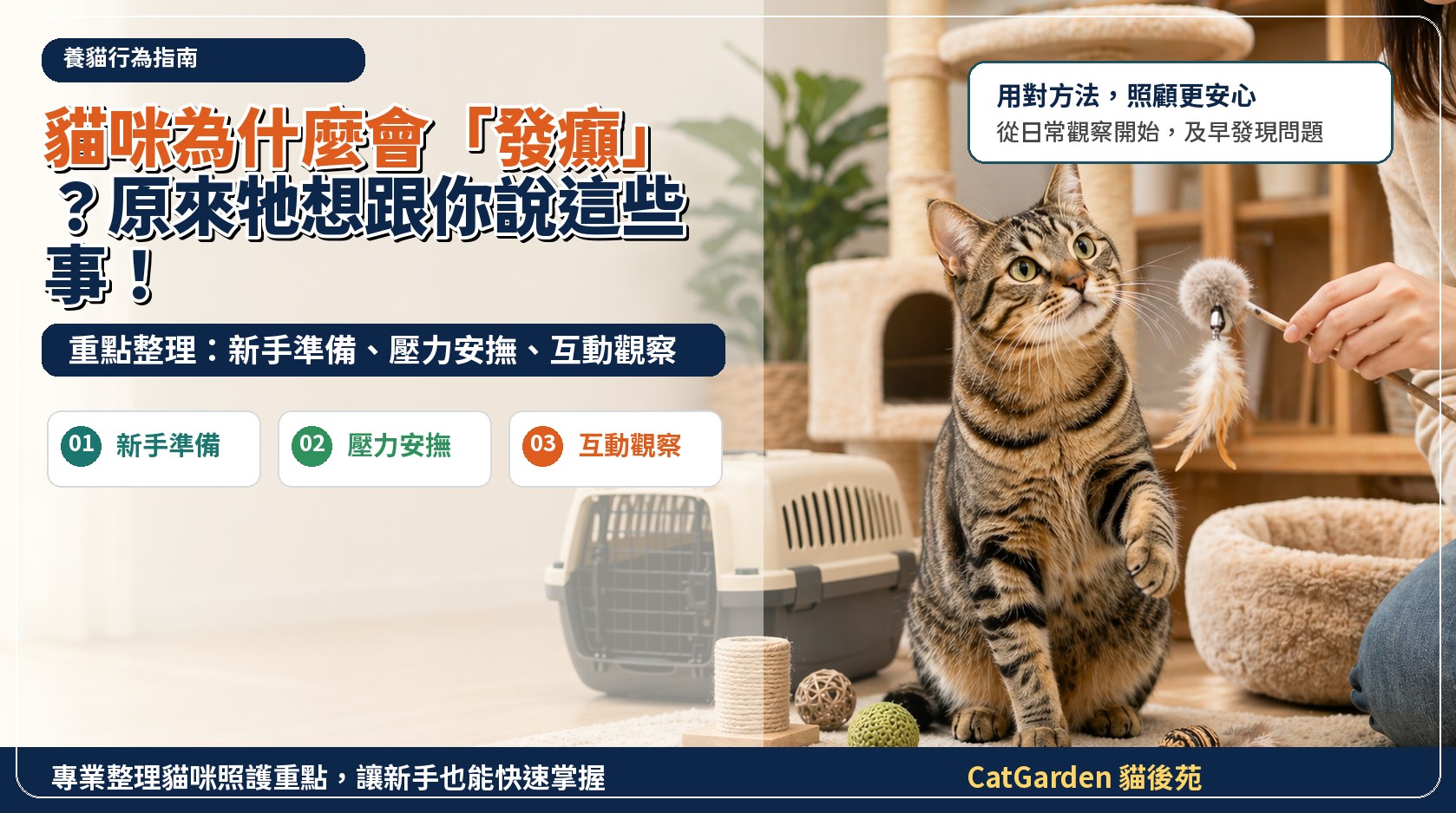 貓咪為什麼會「發癲」？原來牠想跟你說這些事！ 封面圖