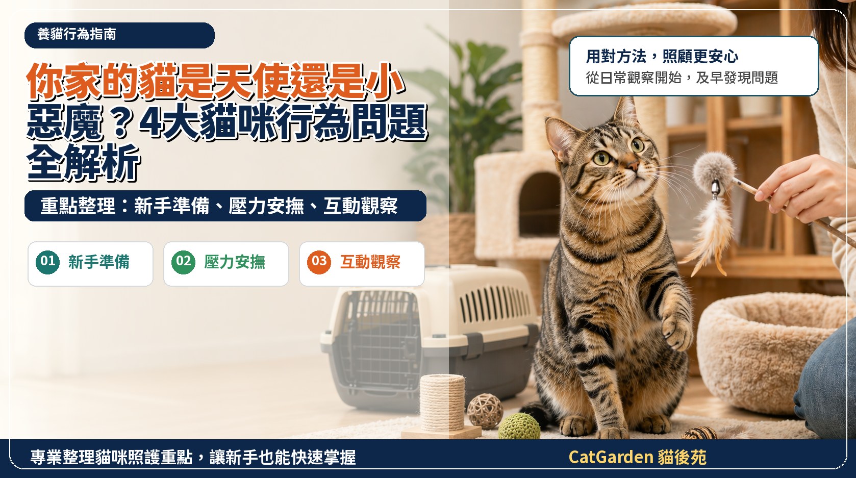 你家的貓是天使還是小惡魔？4大貓咪行為問題全解析 封面圖