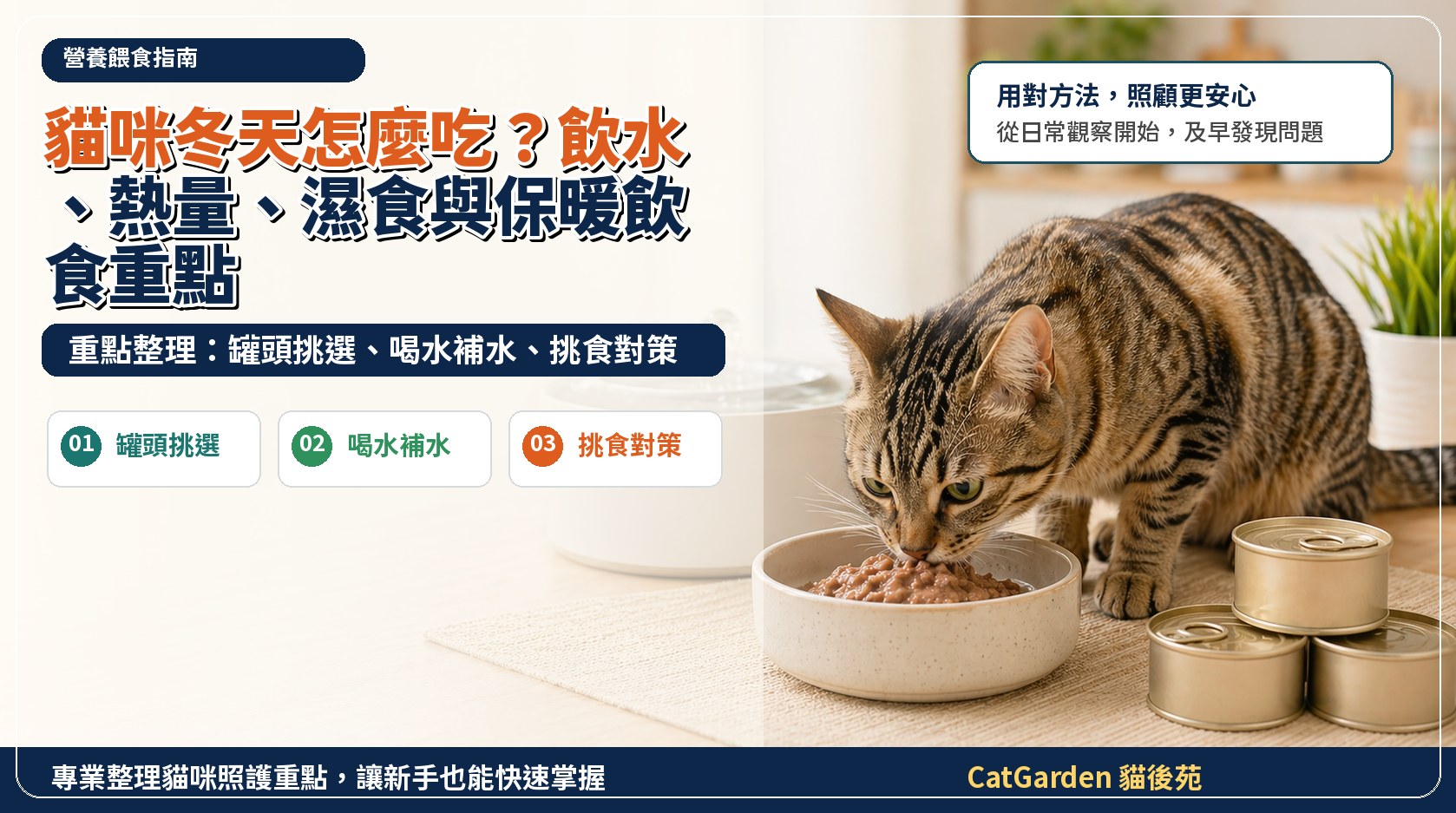 貓咪冬天怎麼吃？飲水、熱量、濕食與保暖飲食重點 封面圖