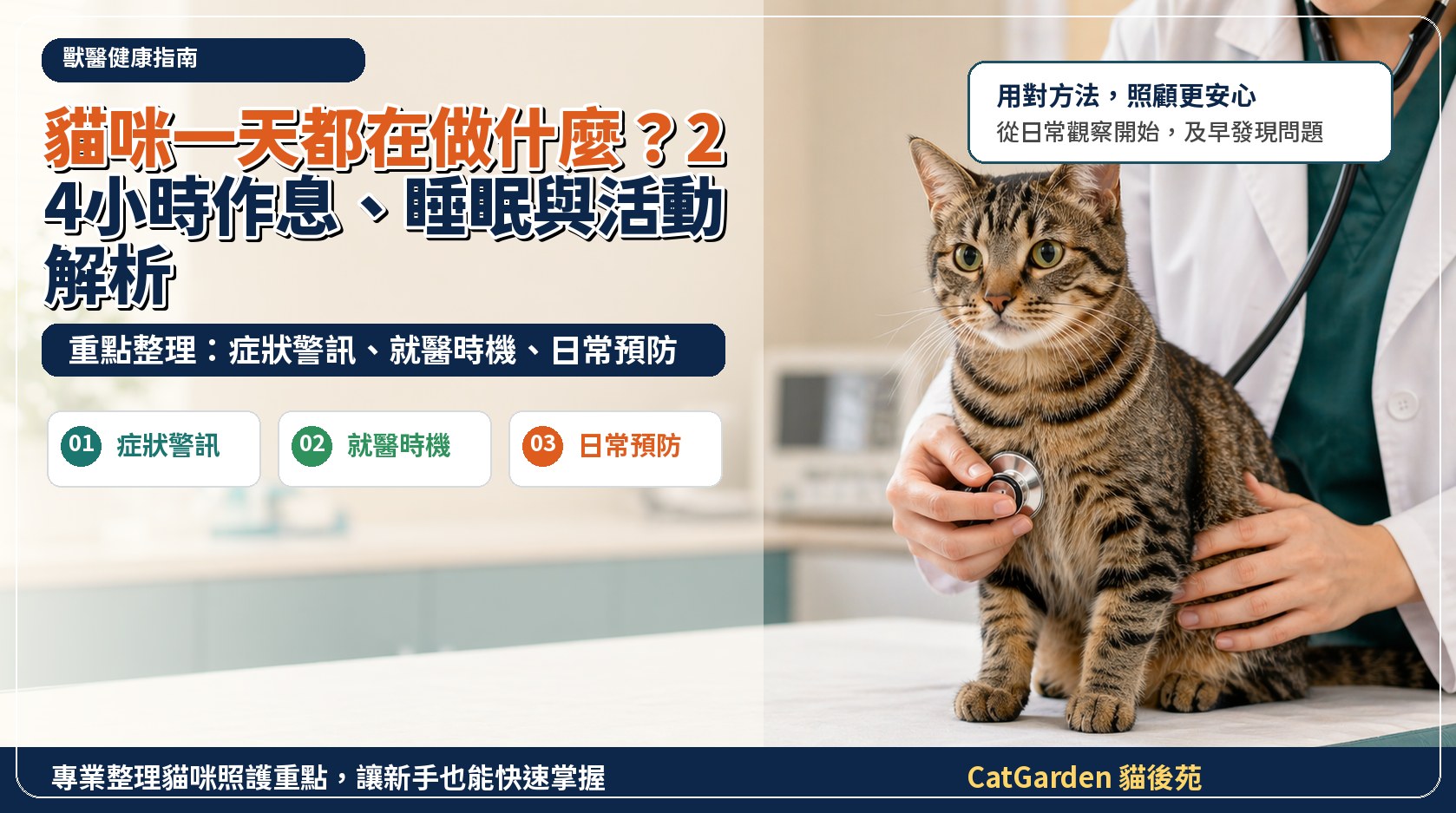 貓咪一天都在做什麼？24 小時作息、睡眠與活動解析 封面圖