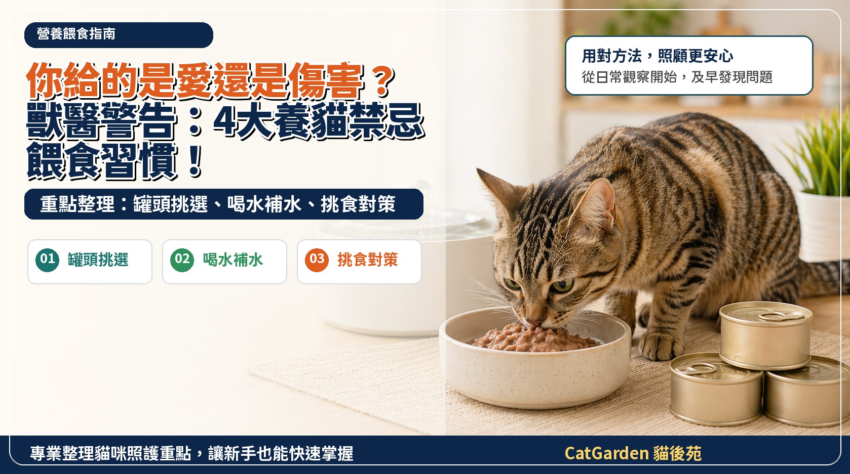 你給的是愛還是傷害？獸醫警告：4大養貓禁忌餵食習慣！ 封面圖