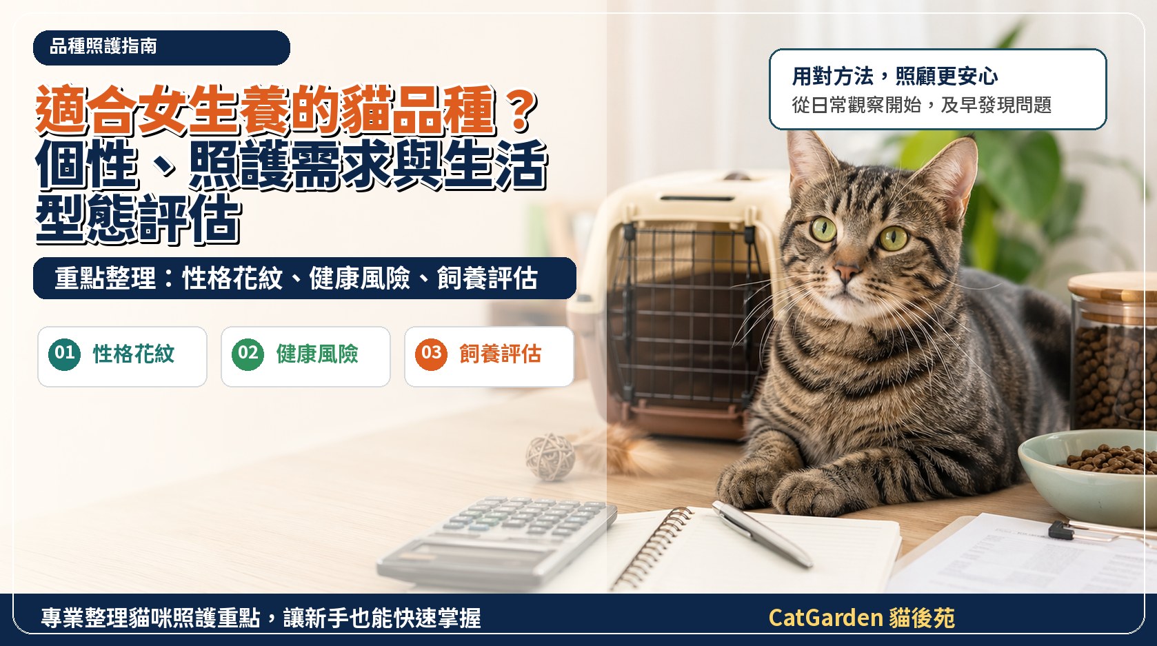 適合女生養的貓品種？個性、照護需求與生活型態評估 封面圖