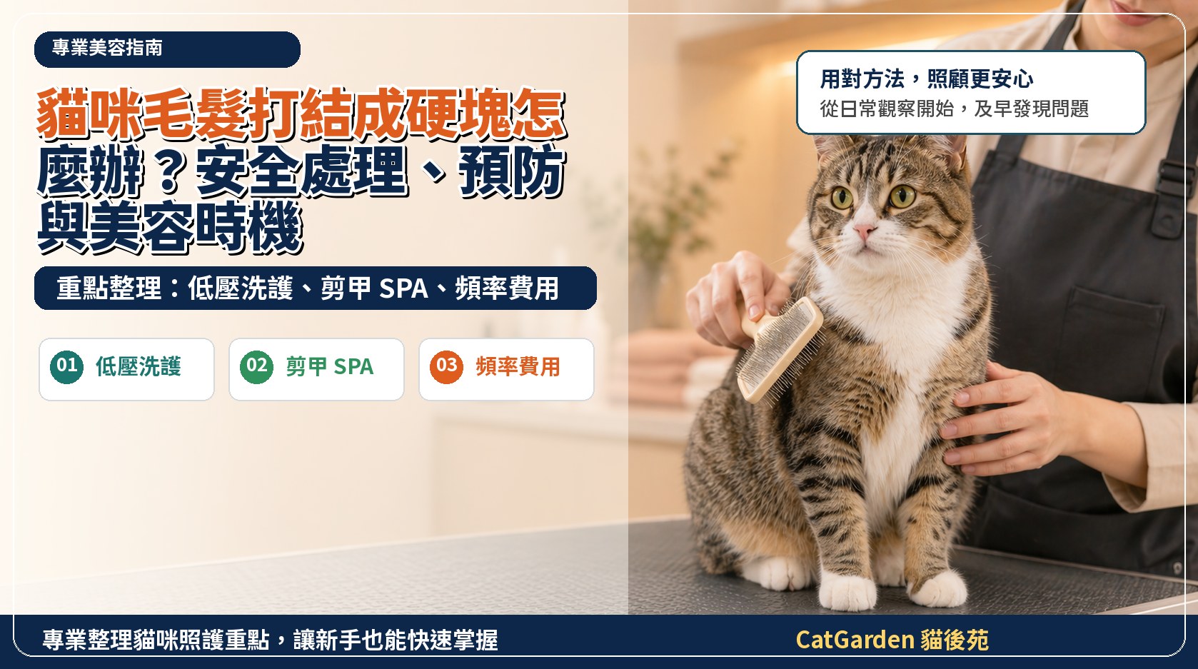 貓咪毛髮打結成硬塊怎麼辦？安全處理、預防與美容時機 封面圖