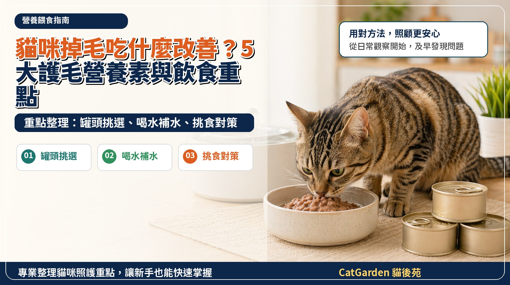 貓咪掉毛吃什麼改善？5 大護毛營養素與飲食重點 封面圖