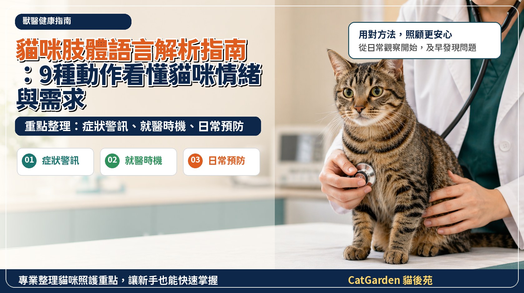 貓咪肢體語言解析指南：9 種動作看懂貓咪情緒與需求 封面圖