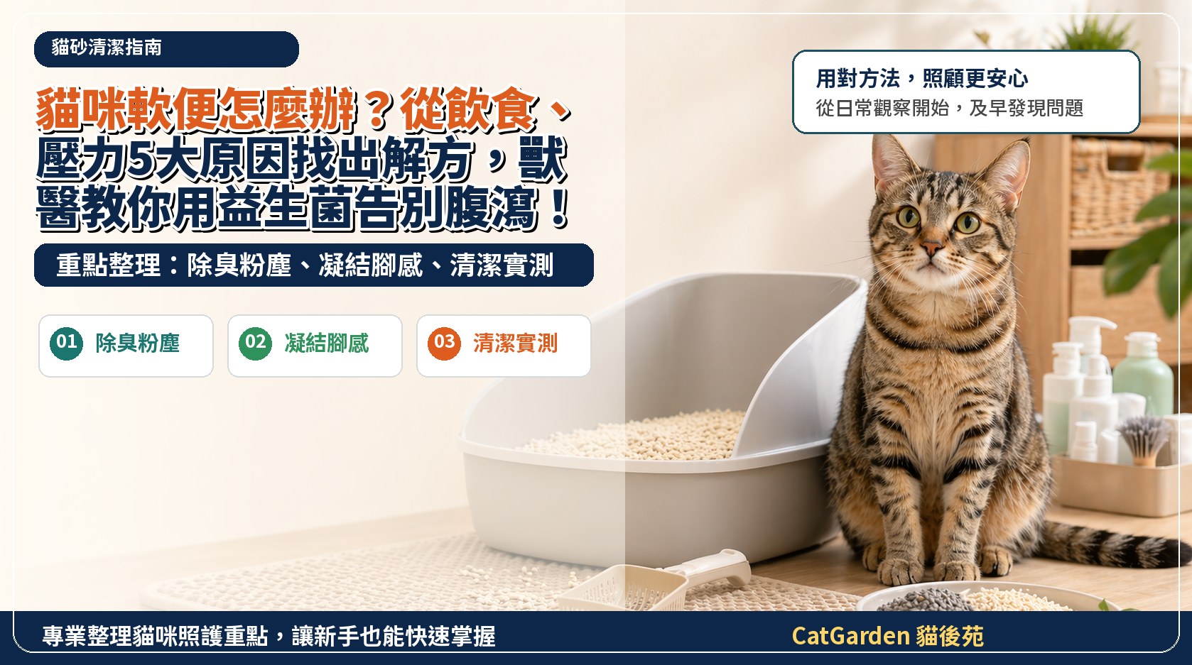 貓咪軟便怎麼辦？從飲食、壓力5大原因找出解方，獸醫教你用益生菌告別腹瀉！ 封面圖