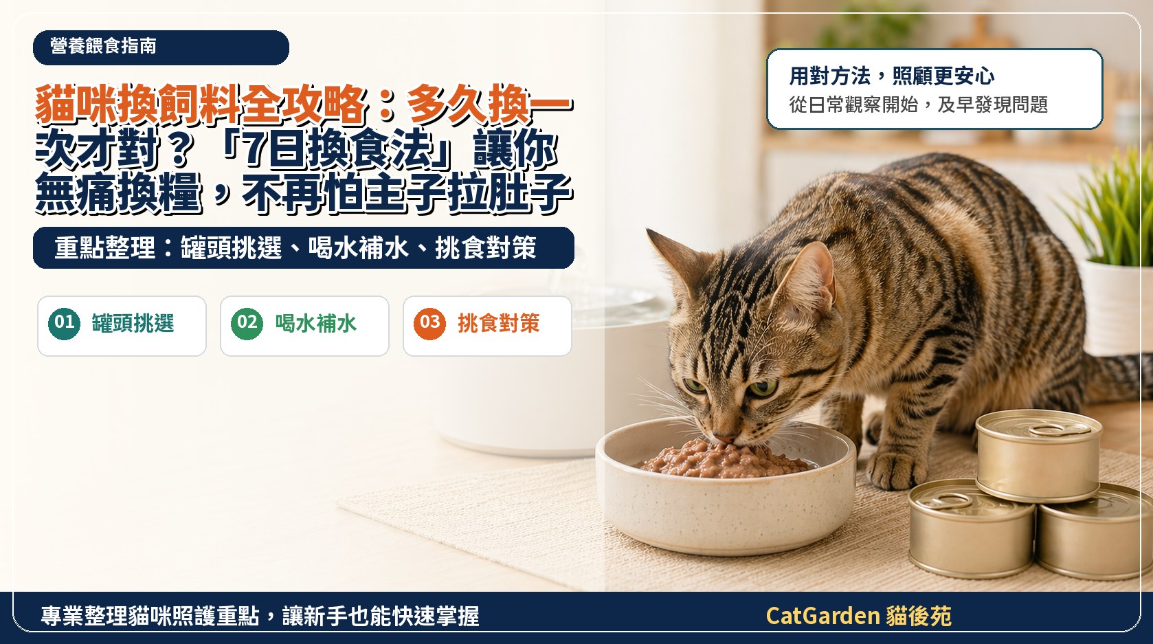 貓咪換飼料全攻略：多久換一次才對？「7日換食法」讓你無痛換糧，不再怕主子拉肚子！ 封面圖