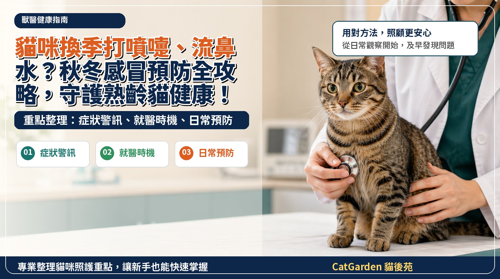 貓咪換季打噴嚏、流鼻水？秋冬感冒預防全攻略，守護熟齡貓健康！ 封面圖