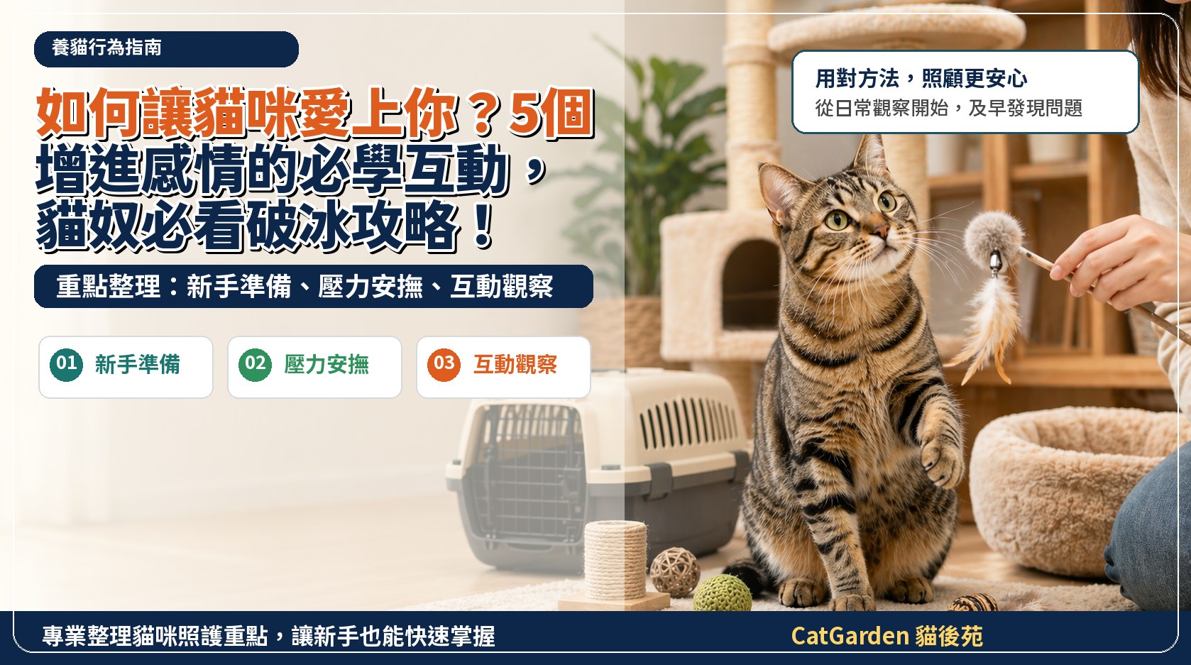 如何讓貓咪愛上你？5個增進感情的必學互動，貓奴必看破冰攻略！ 封面圖